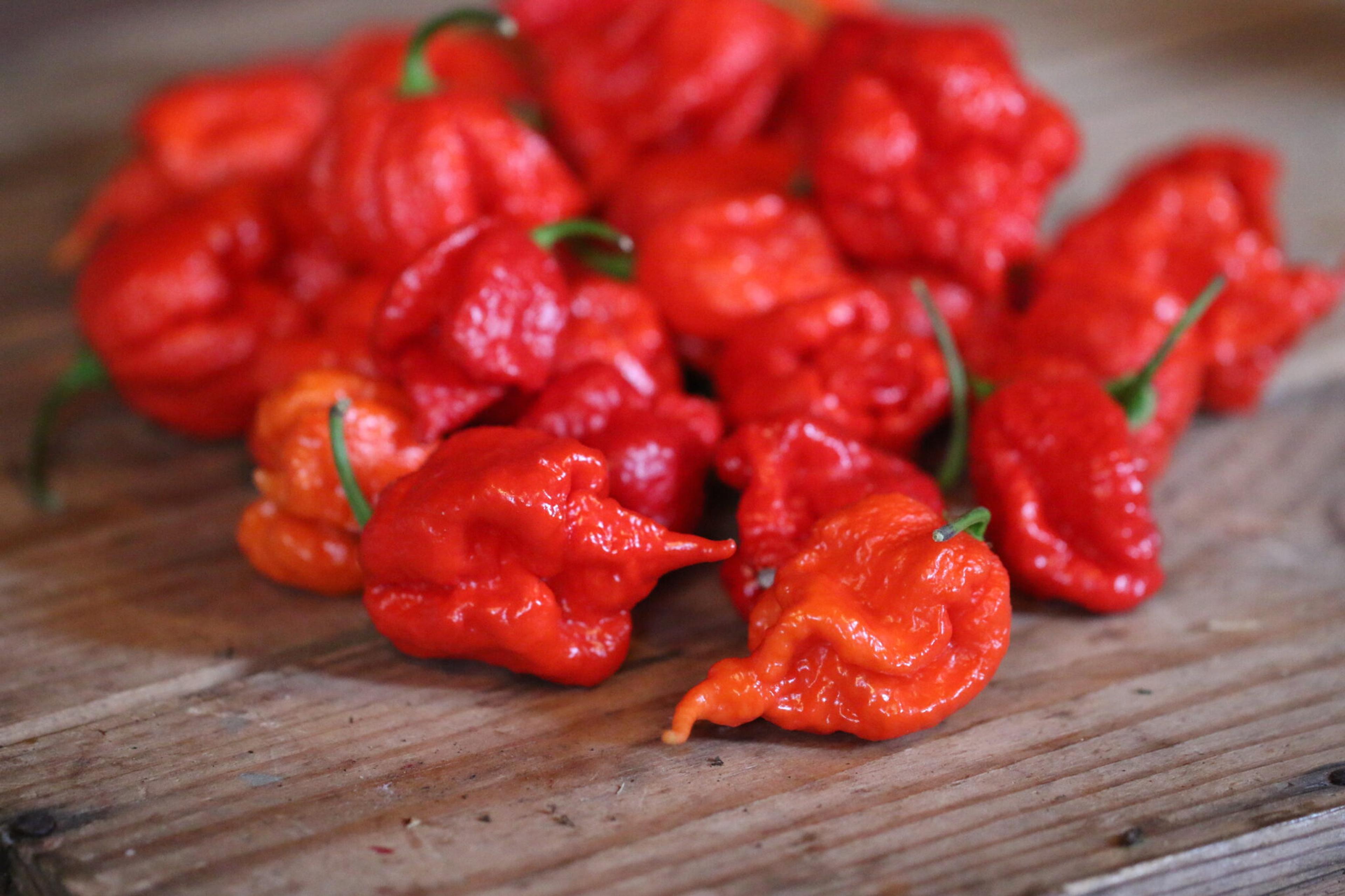Carolina Reaper miniatyrbild 5