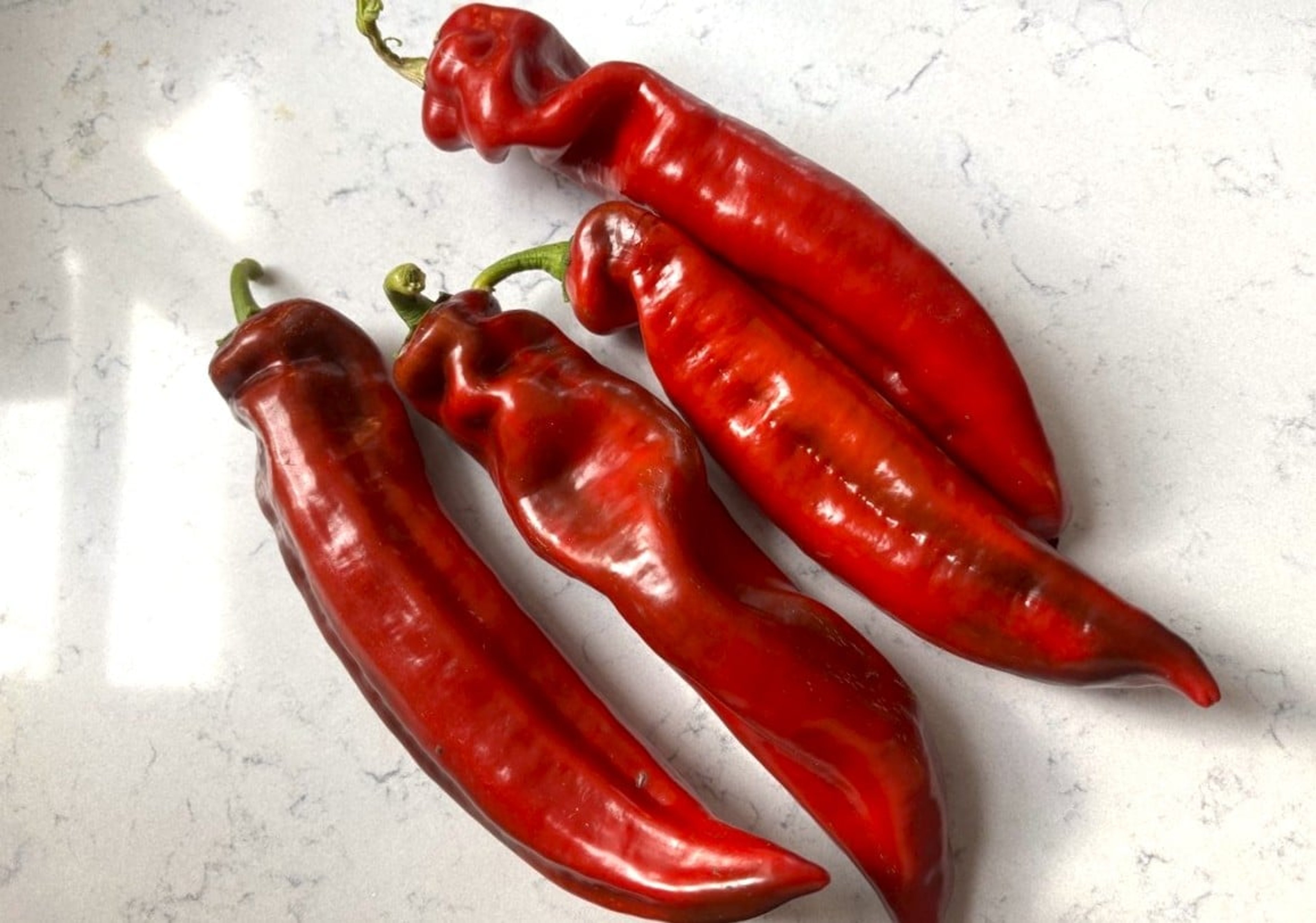 Ramiro Bell Red - Svenskodlade chilifrön från Svenska Frön