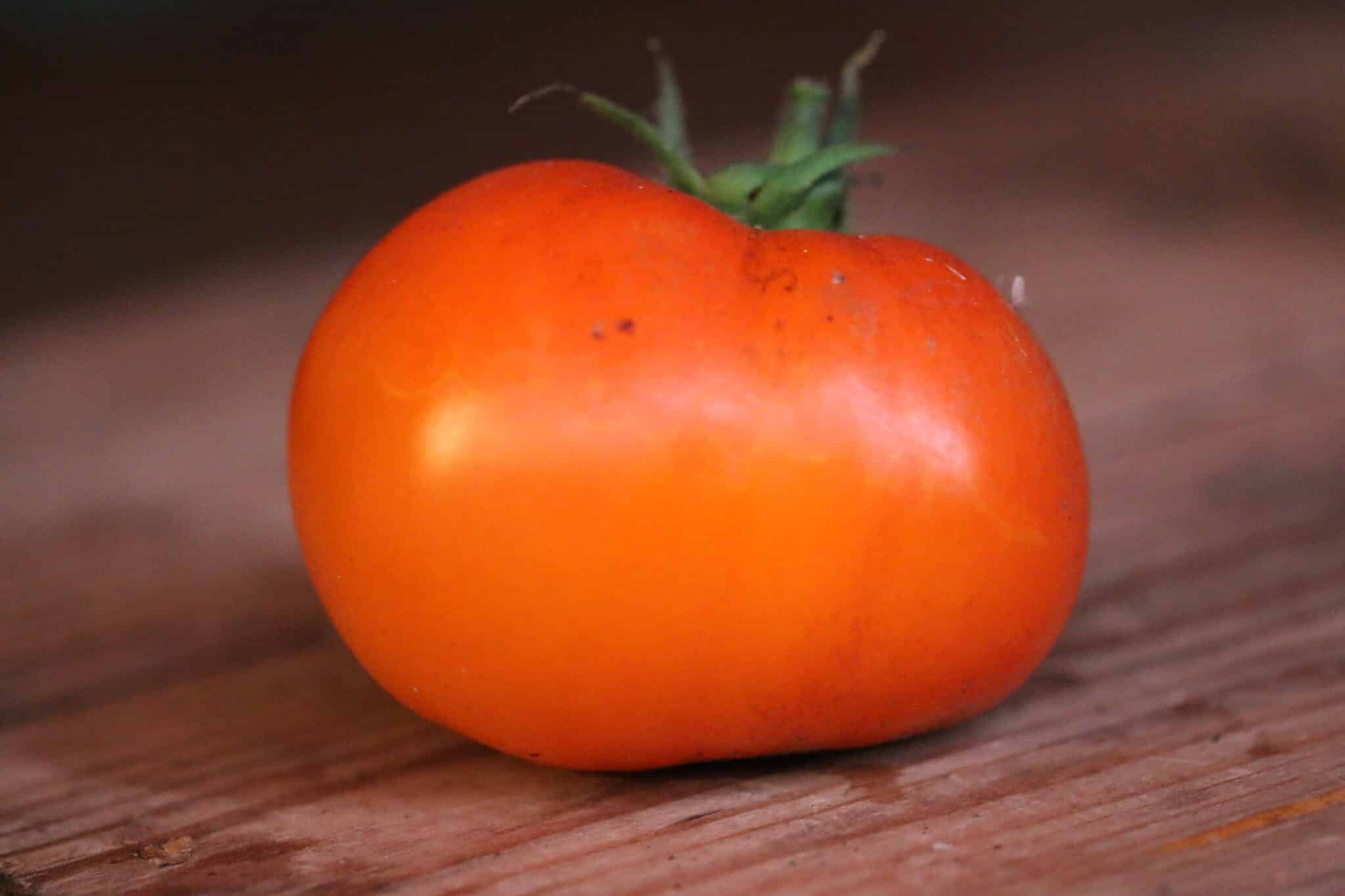 Pineapple - Svenskodlade tomatfrön från Svenska Frön