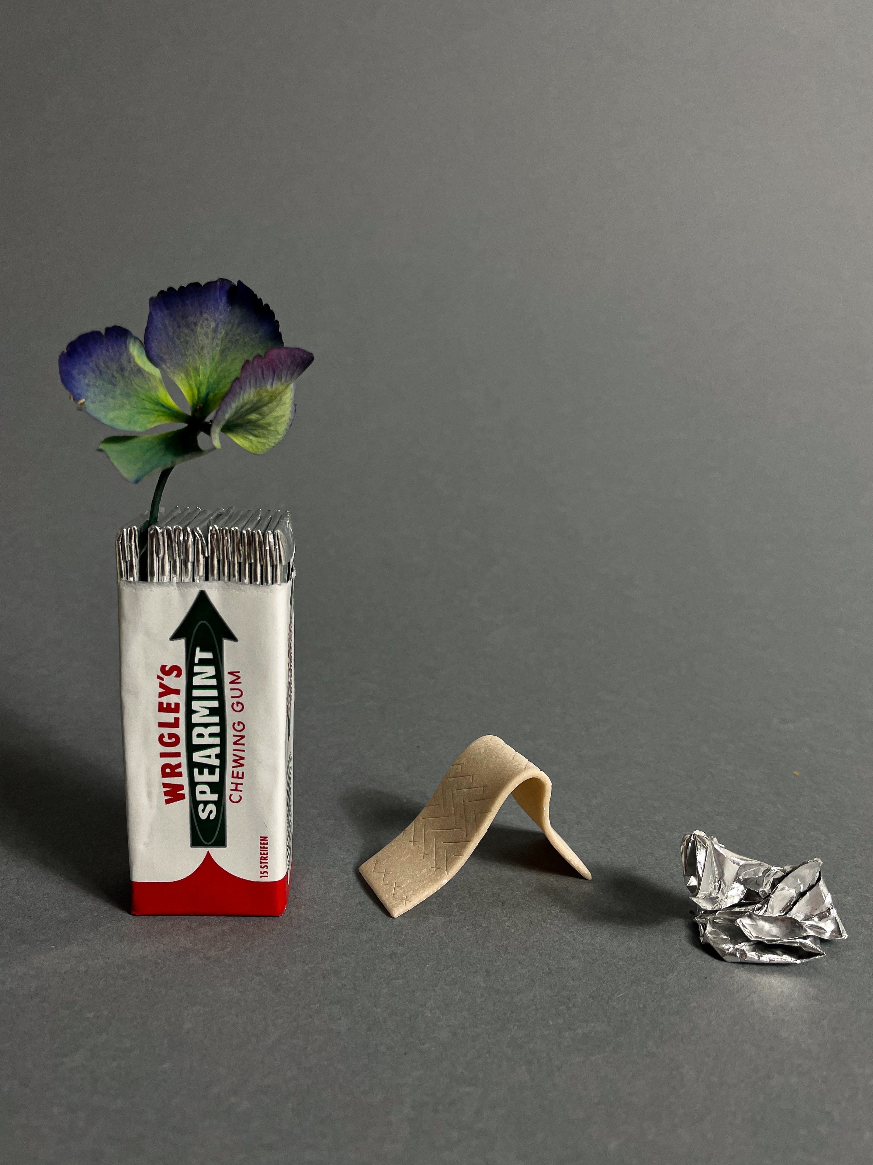 Chewing gum package with an unfolded stripe and hortensia