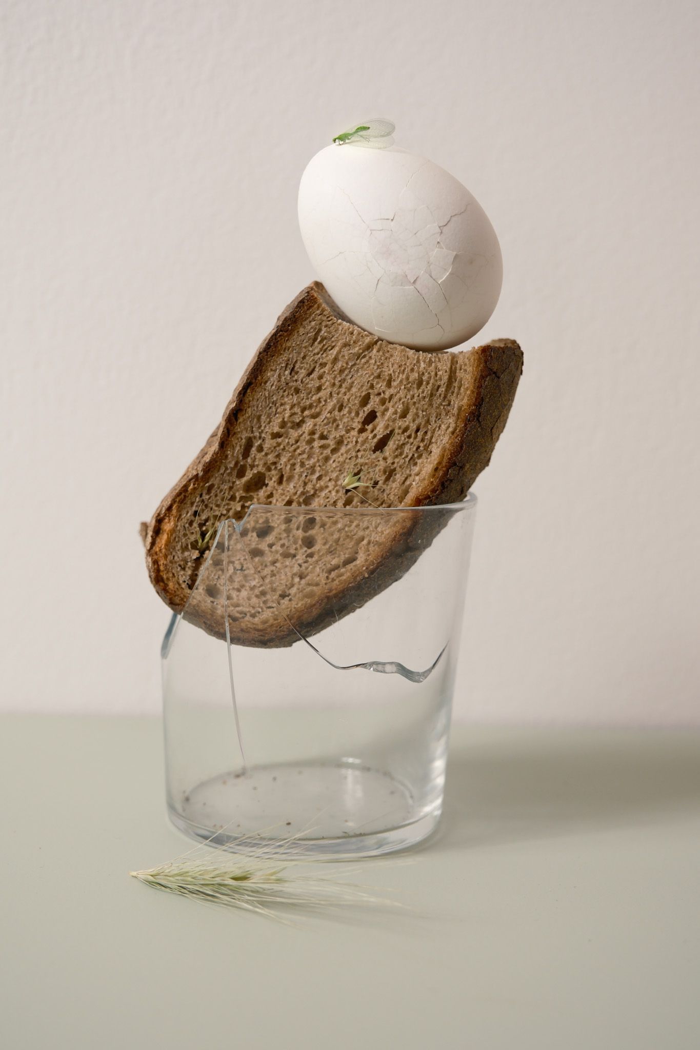 Broken glass based bread topped with a crumbly egg and grasshopper