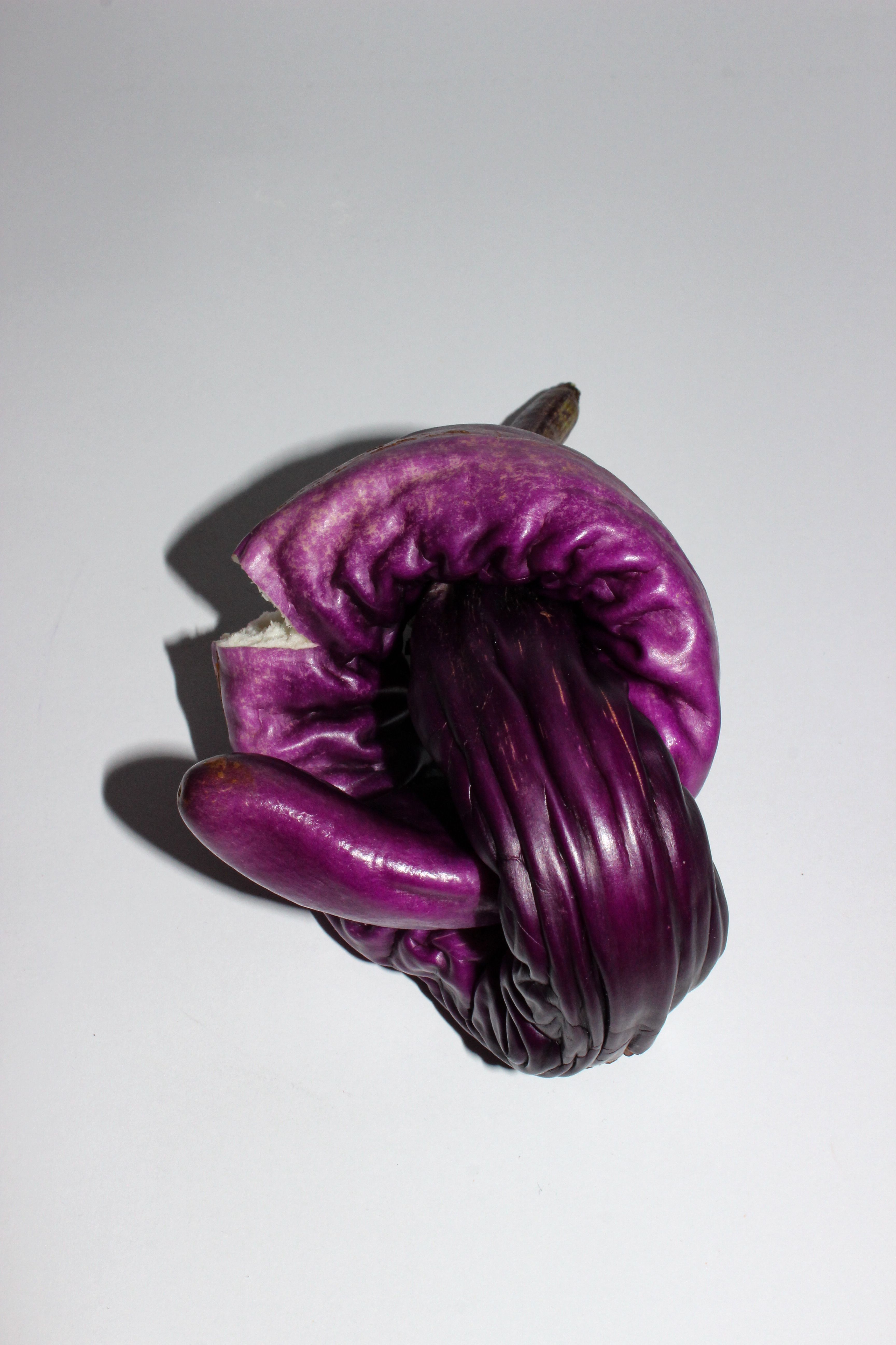 Half-dried aubergine twisted in itself