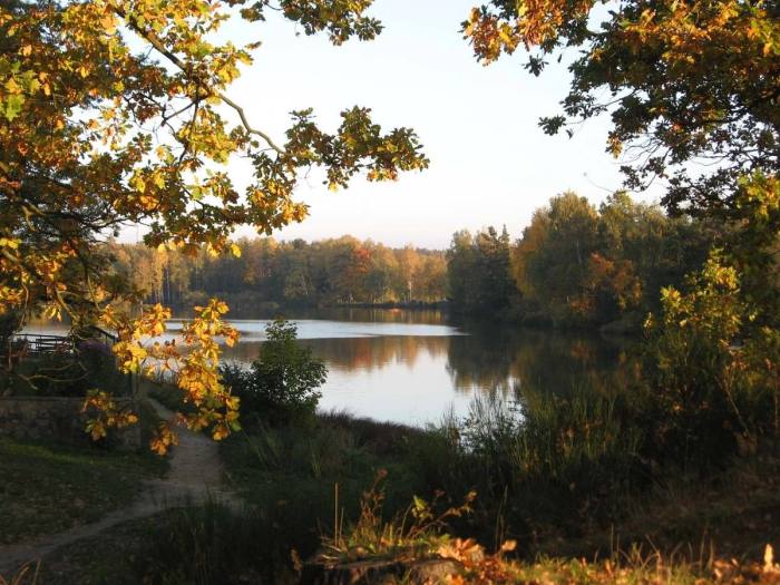 Staňkovský rybník na podzim