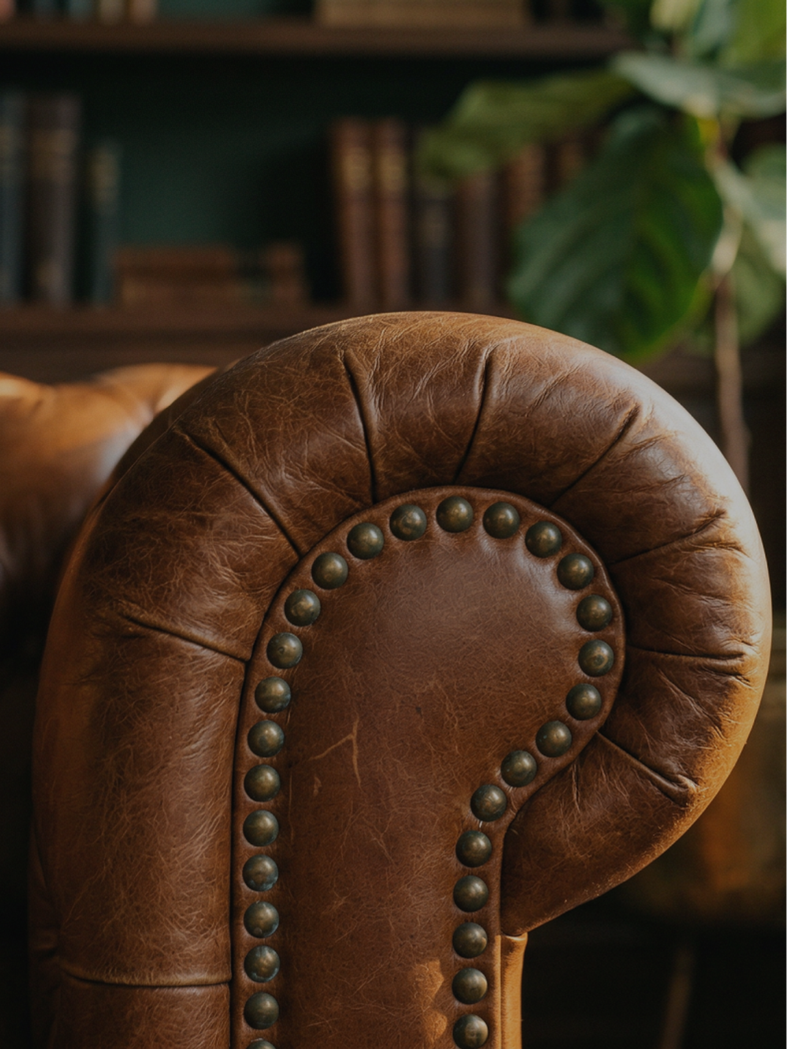 Close-up of a leather armchair, representing the Audit practice area