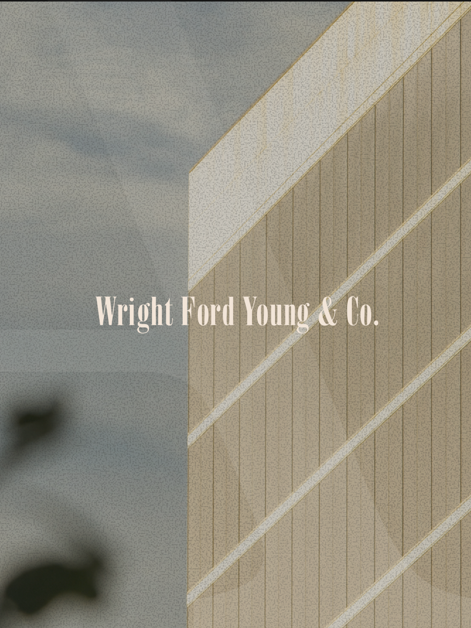 Text "Wright Ford Young & Co." on a textured background split between a blurry outdoor scene and a building facade.