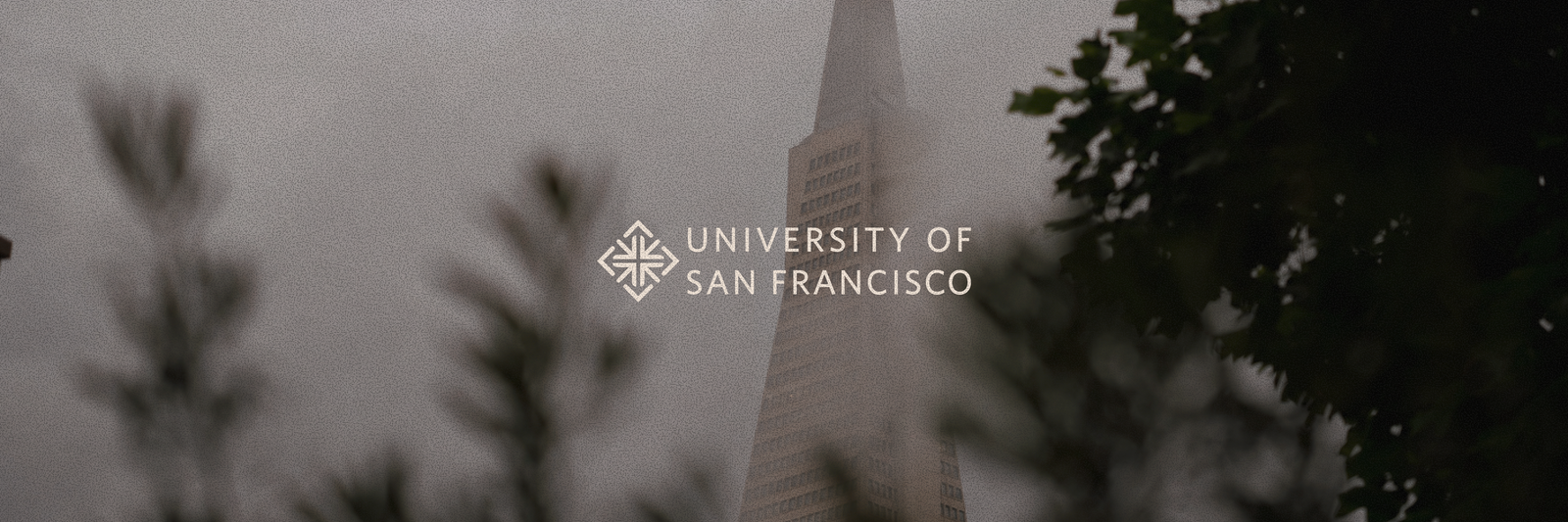 University of San Francisco logo over a misty Transamerica Pyramid, with blurred foliage.