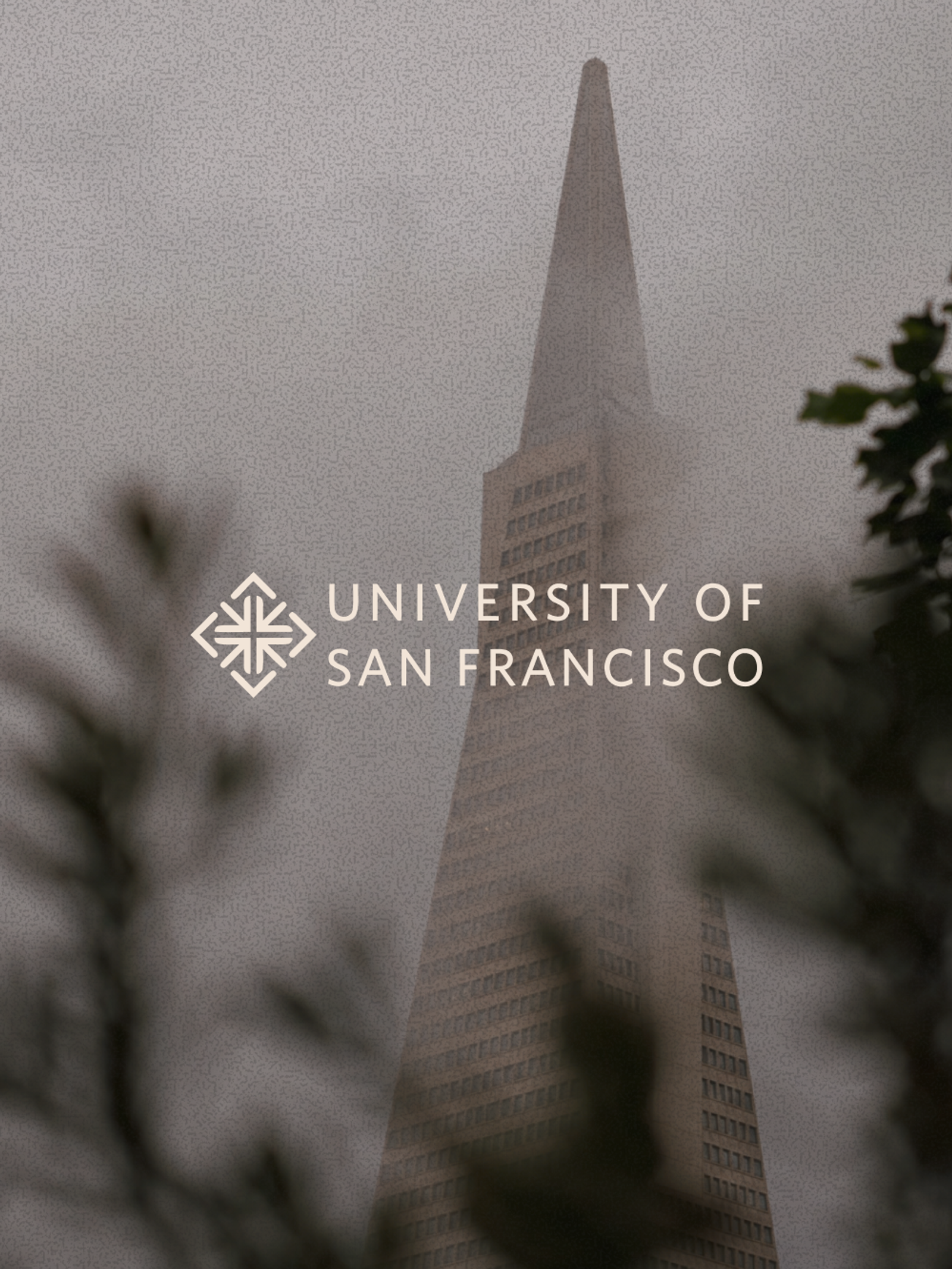 Transamerica Pyramid rising through fog and blurred trees, with the University of San Francisco logo and text overlaid.