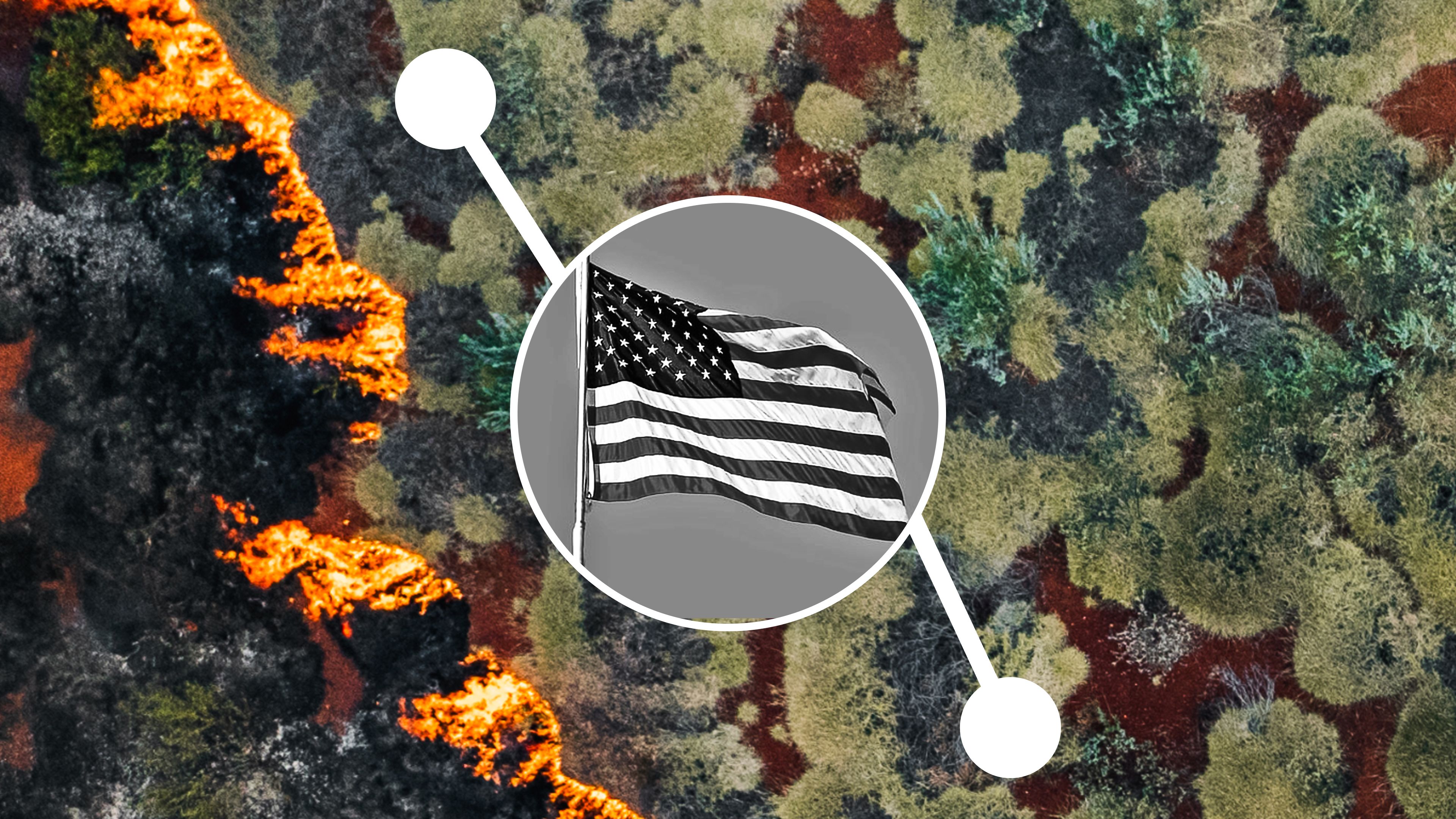 United States: Alliance support slips but still strong