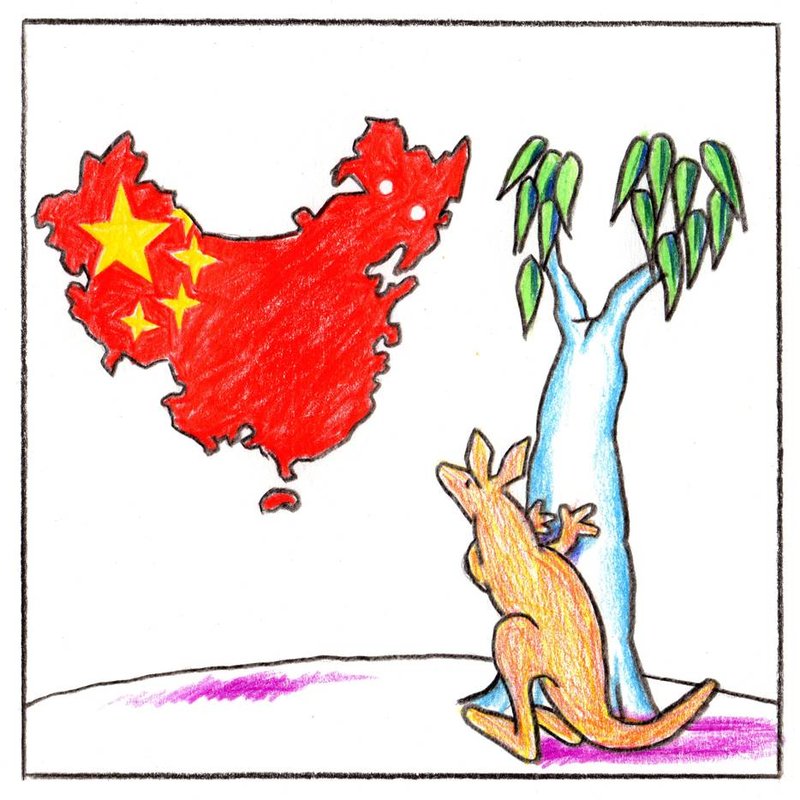 Illustration of a kangaroo hiding from a Chinese flag: Matthew Martin