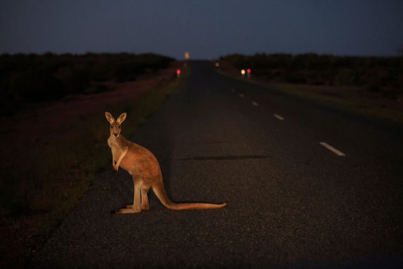Go your own way (Mark Evans/Getty Images)