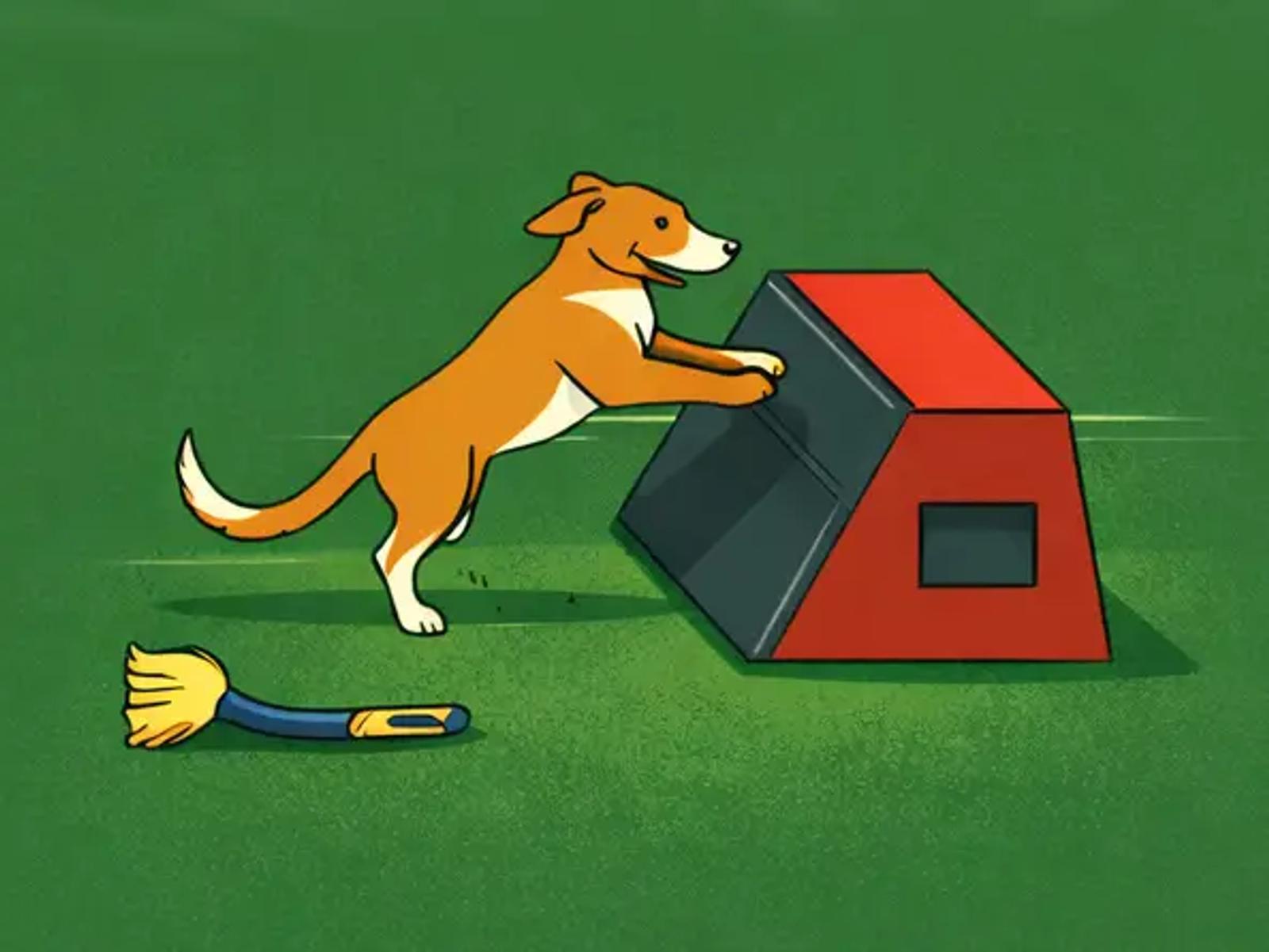 Dog learning on a flyball box