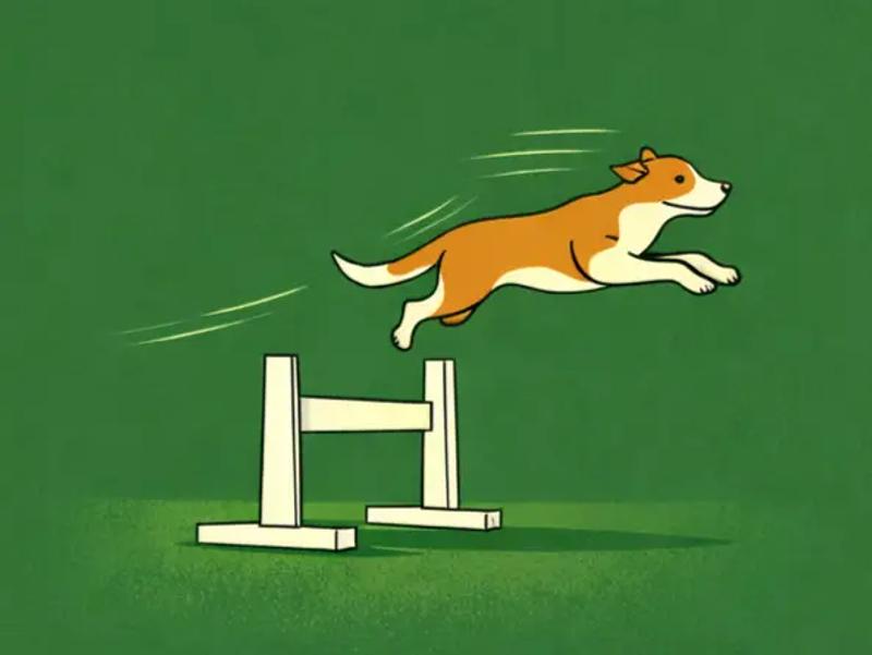 infographic explaining what is flyball