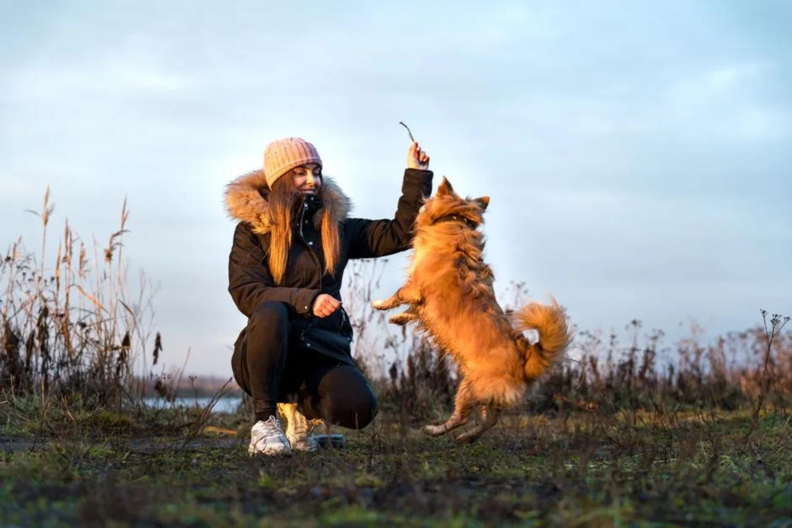 Woman training with a dog in an outdoor field
