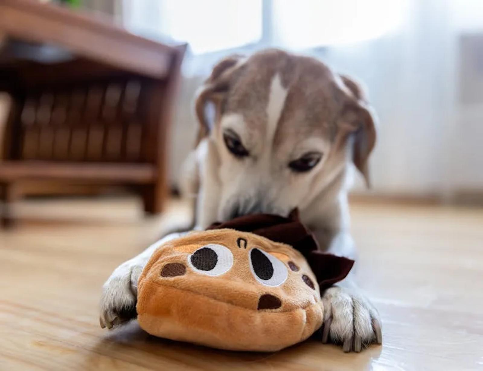 Dog using a snuffle mat indoors on carpet