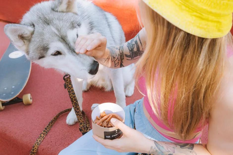 Close-up of small soft dog treats in a handler's hand