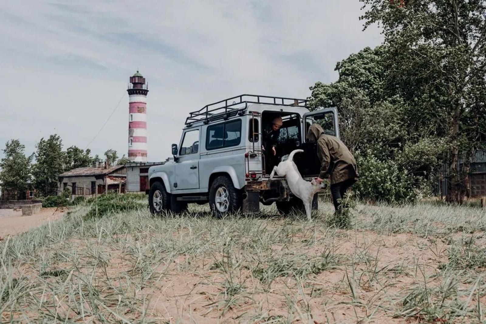 Two handlers helping a dog from the back of a four-wheel-drive vehicle