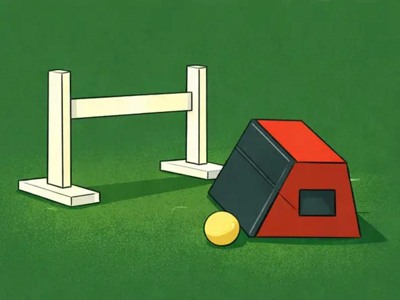 equipment safety for Flyball