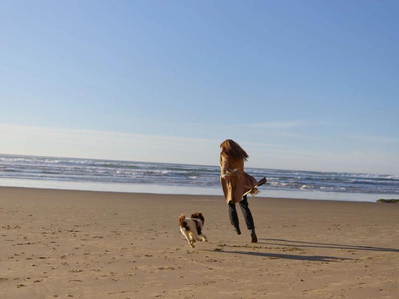 Dog beach safety: swimming, heat and salt water