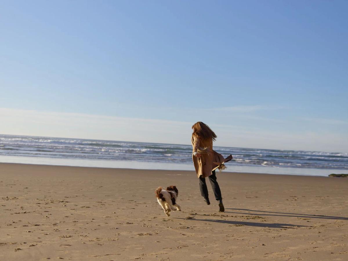 Dog beach safety: swimming, heat and salt water