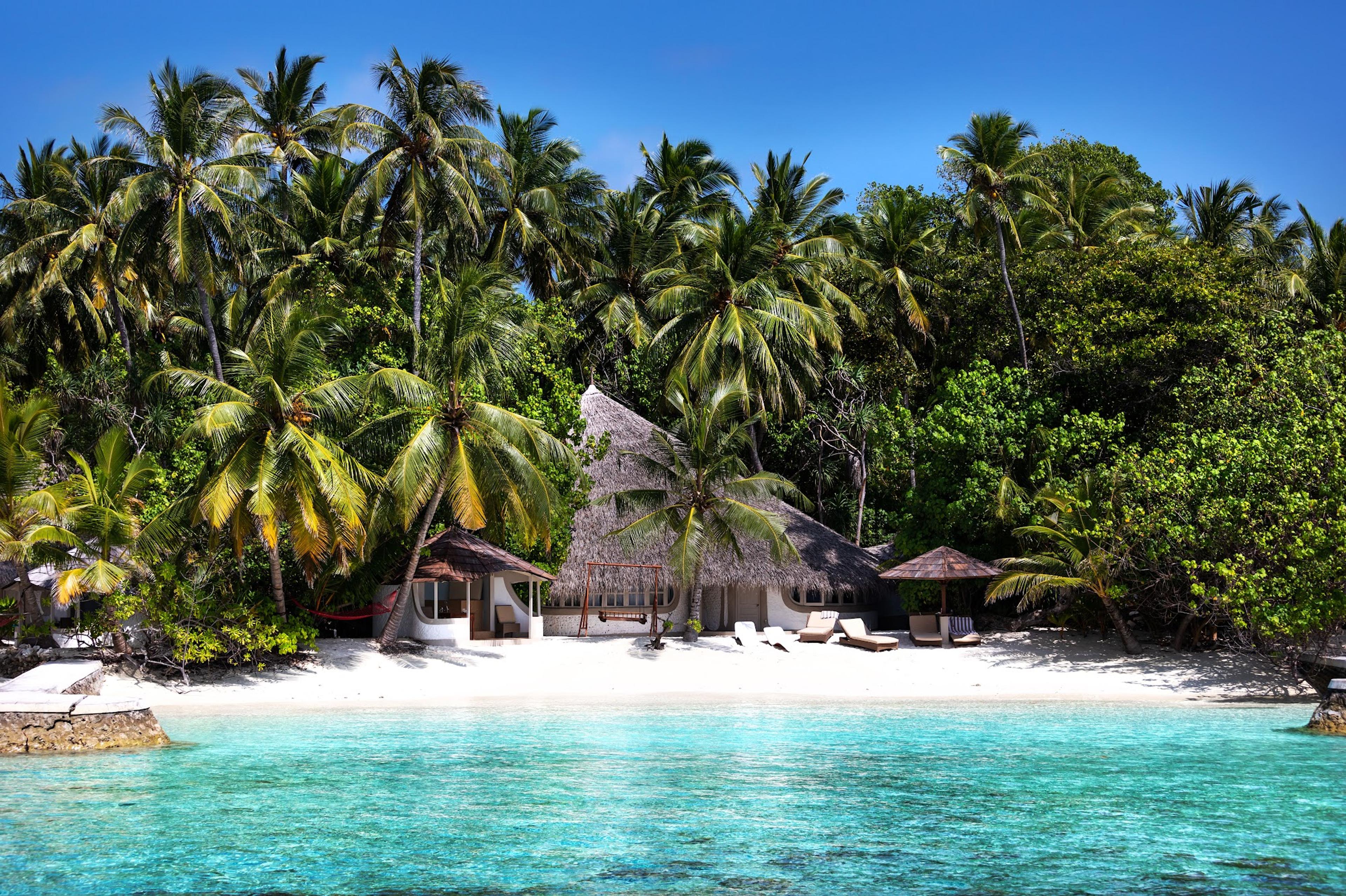 Deluxe Family Villa among the palms