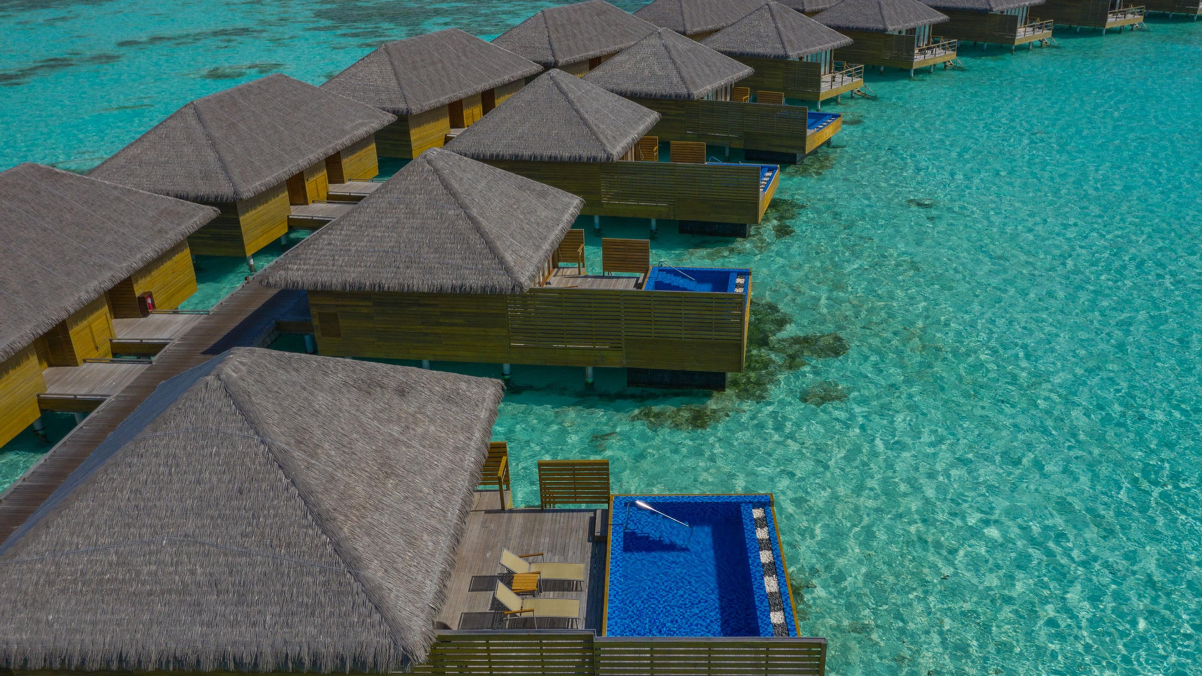 Cocoon Suite