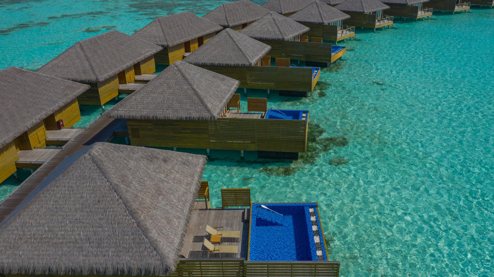 Cocoon Suite