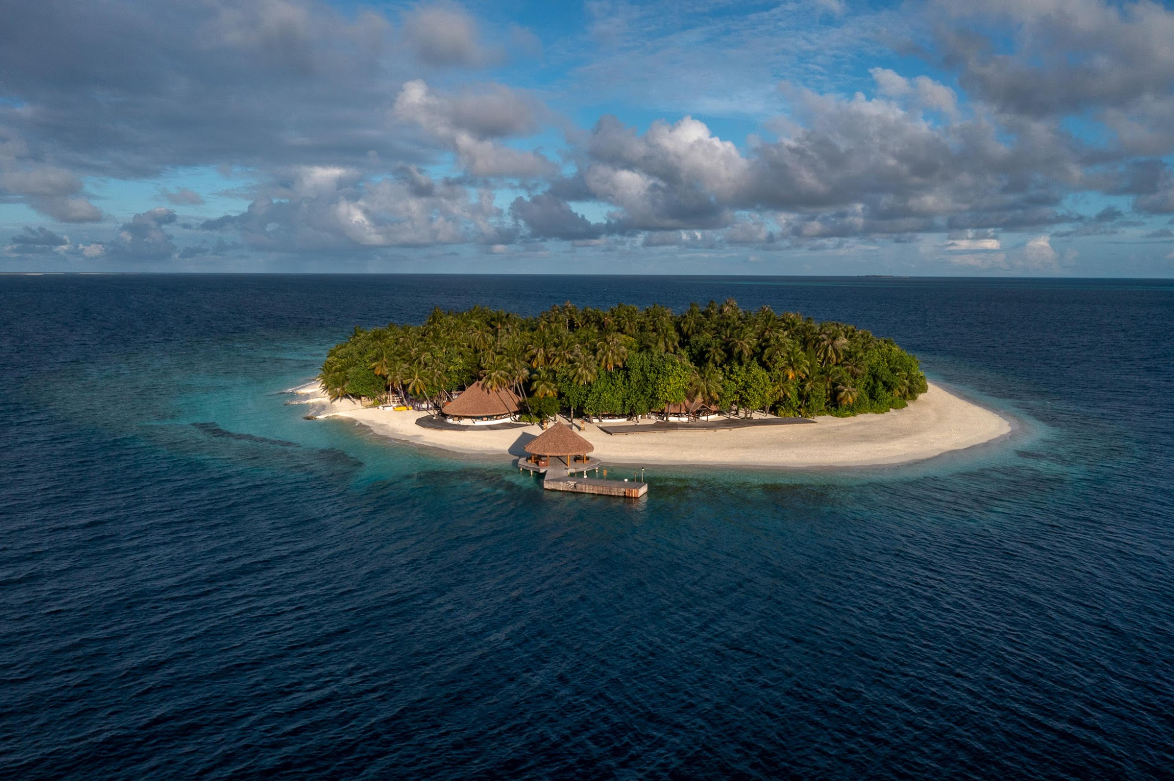 Aerial view of a lush Maldivian island and reef