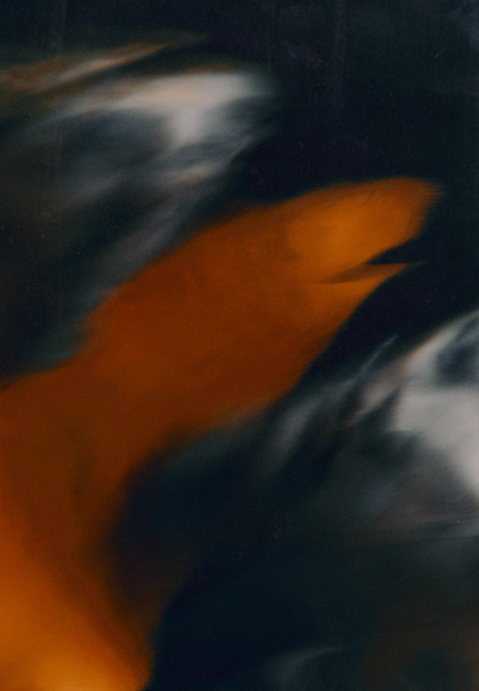 Creative Direction for Lankum’s Radie Peat debut album vinyl shot by Daniel Archer