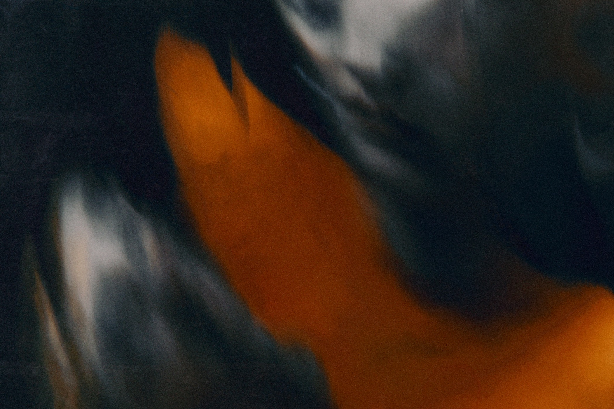 Creative Direction for Lankum’s Radie Peat debut album vinyl shot by Daniel Archer