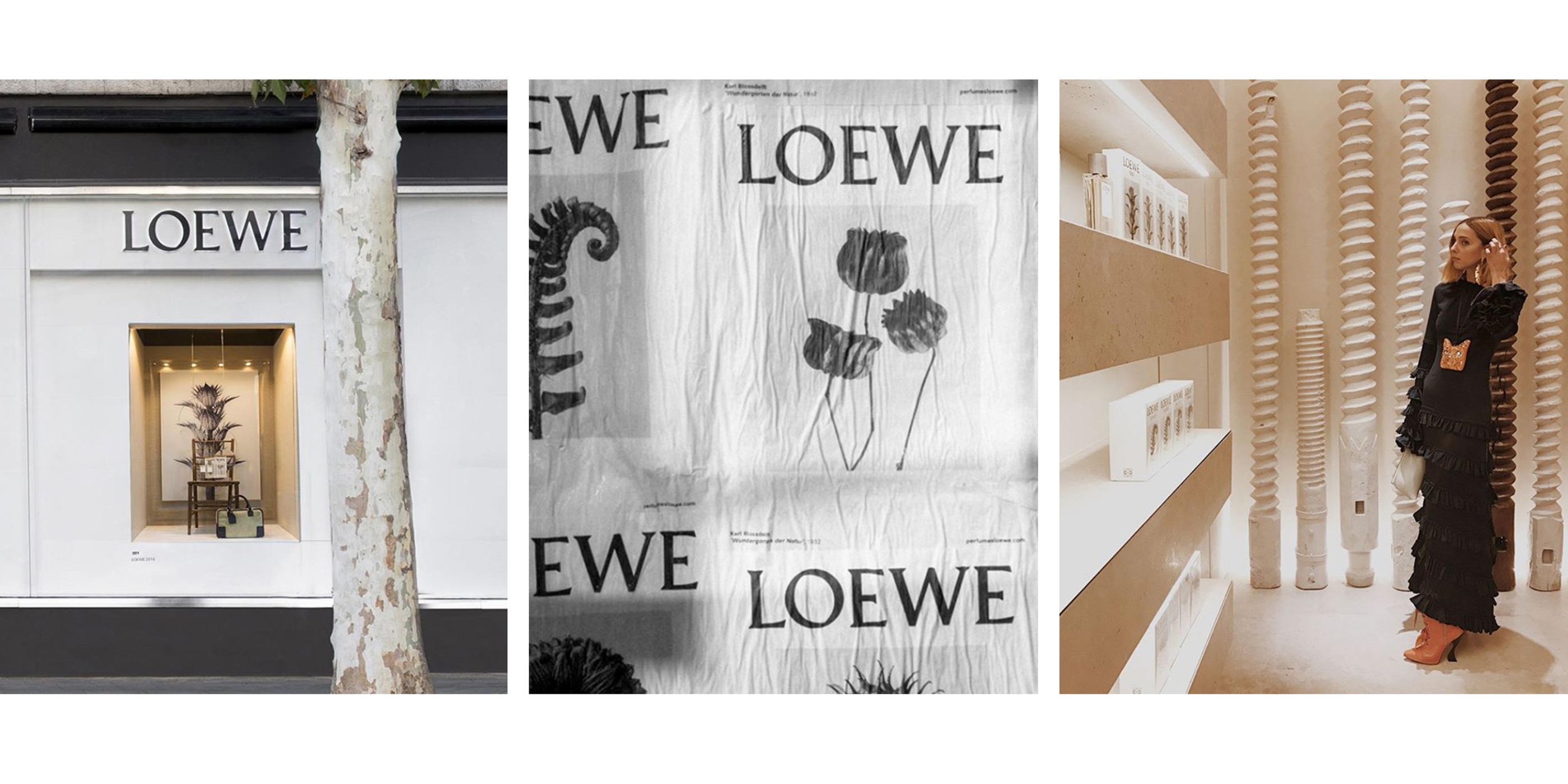 Art direction for Loewe fragrance