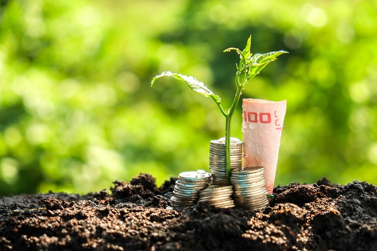 Turning carbon exposure into a competitive advantage: Key Takeaways