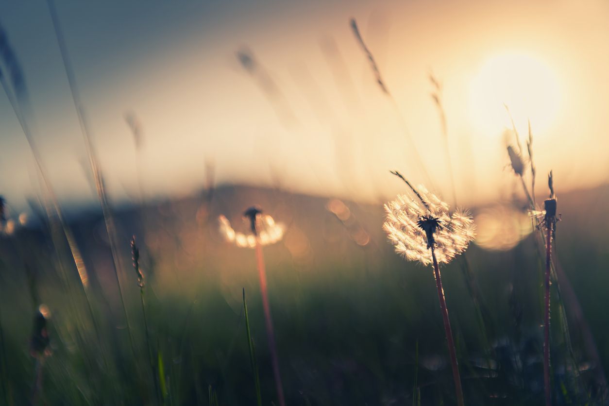 From insight to impact — at every step