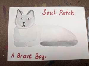 a water color painting of a gray cat labeled "Soul Patch: A Brave Boy"