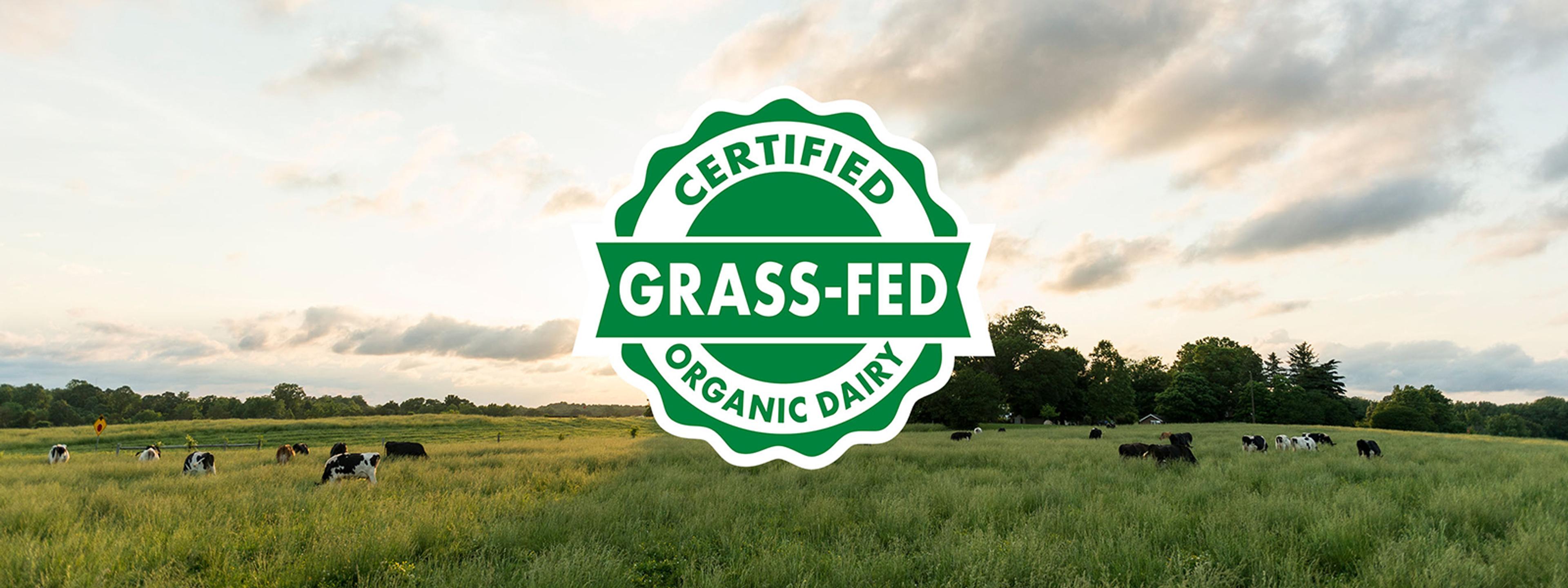 Certified Grass-fed Organic seal overlaid an image of green pasture.