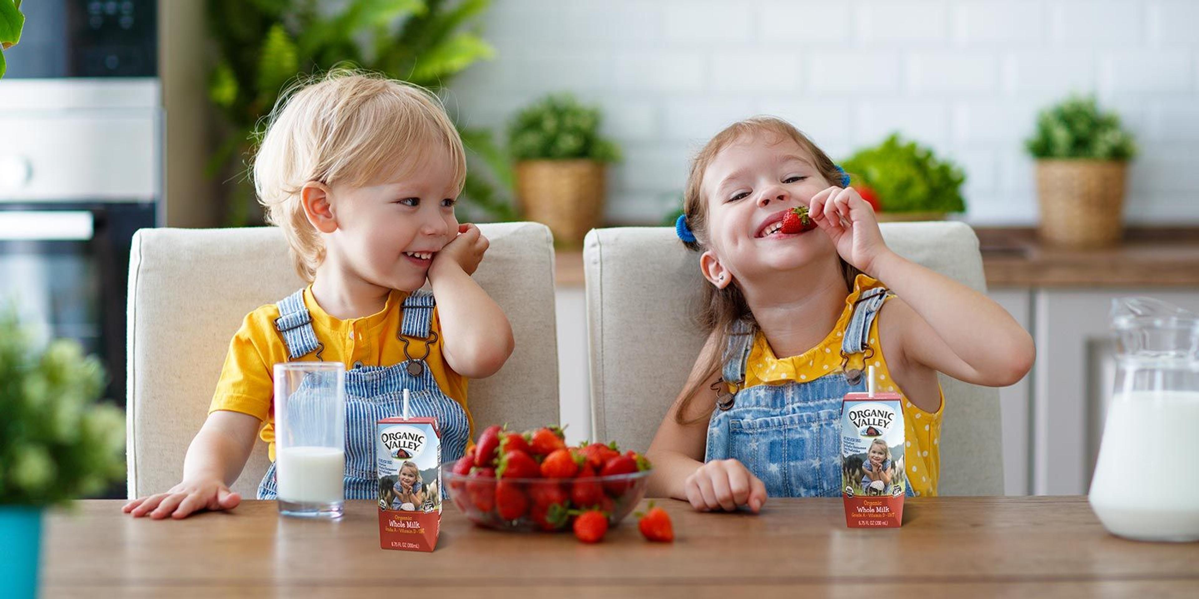 Children sitting down for a snack of Organic Valley single-serve milk and organic strawberries.