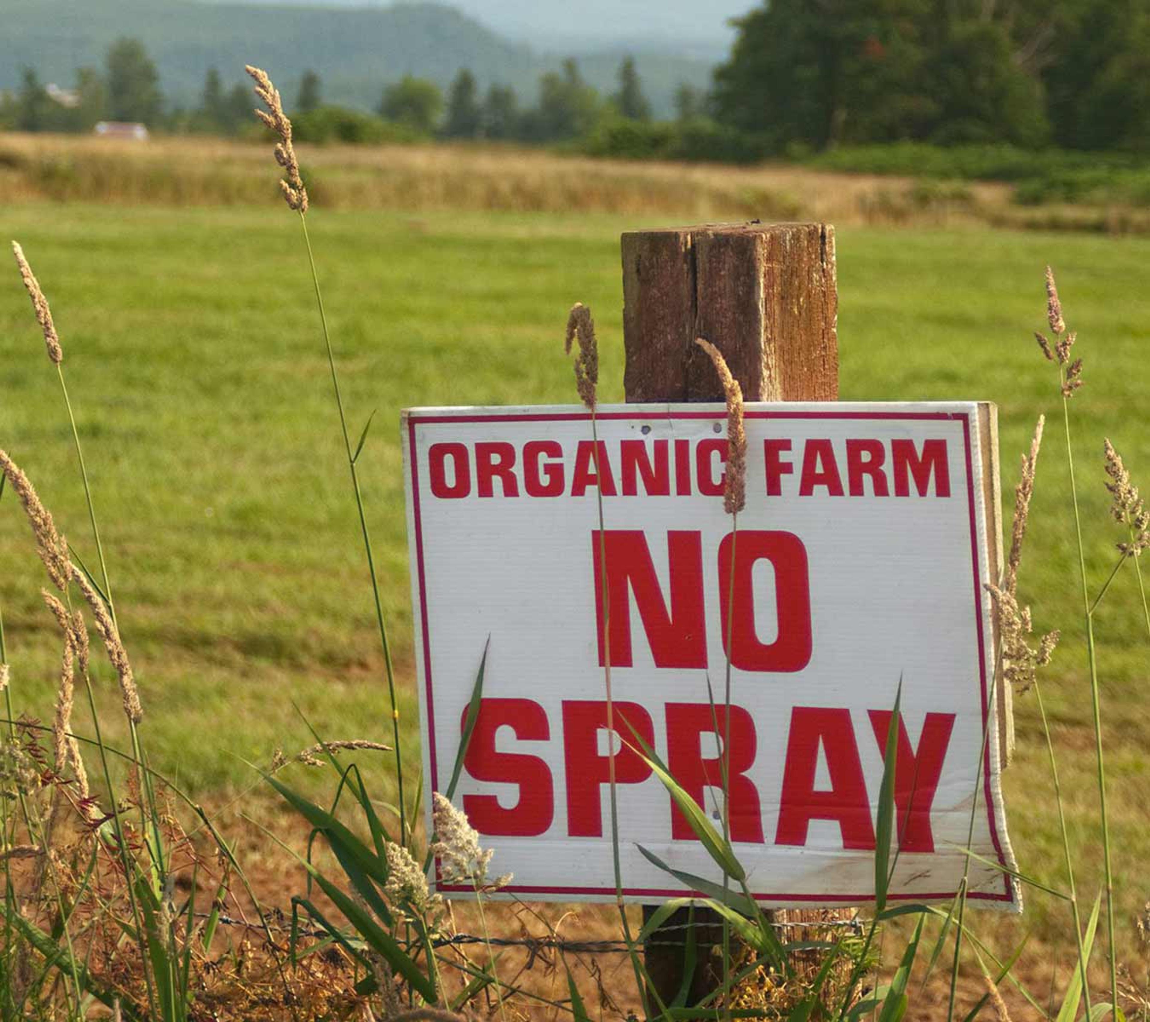 Organic Valley farmers use innovative techniques instead of toxic pesticides and fertilizers.