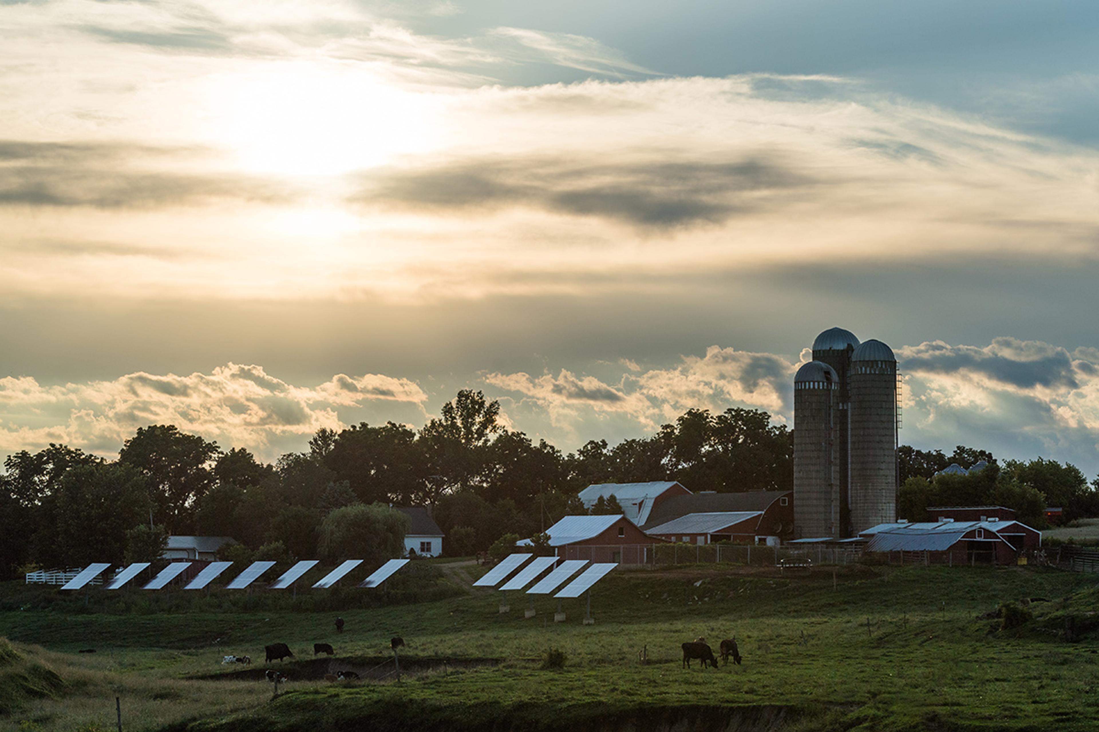 Solar panels on a farm during dusk in Wisconsin.