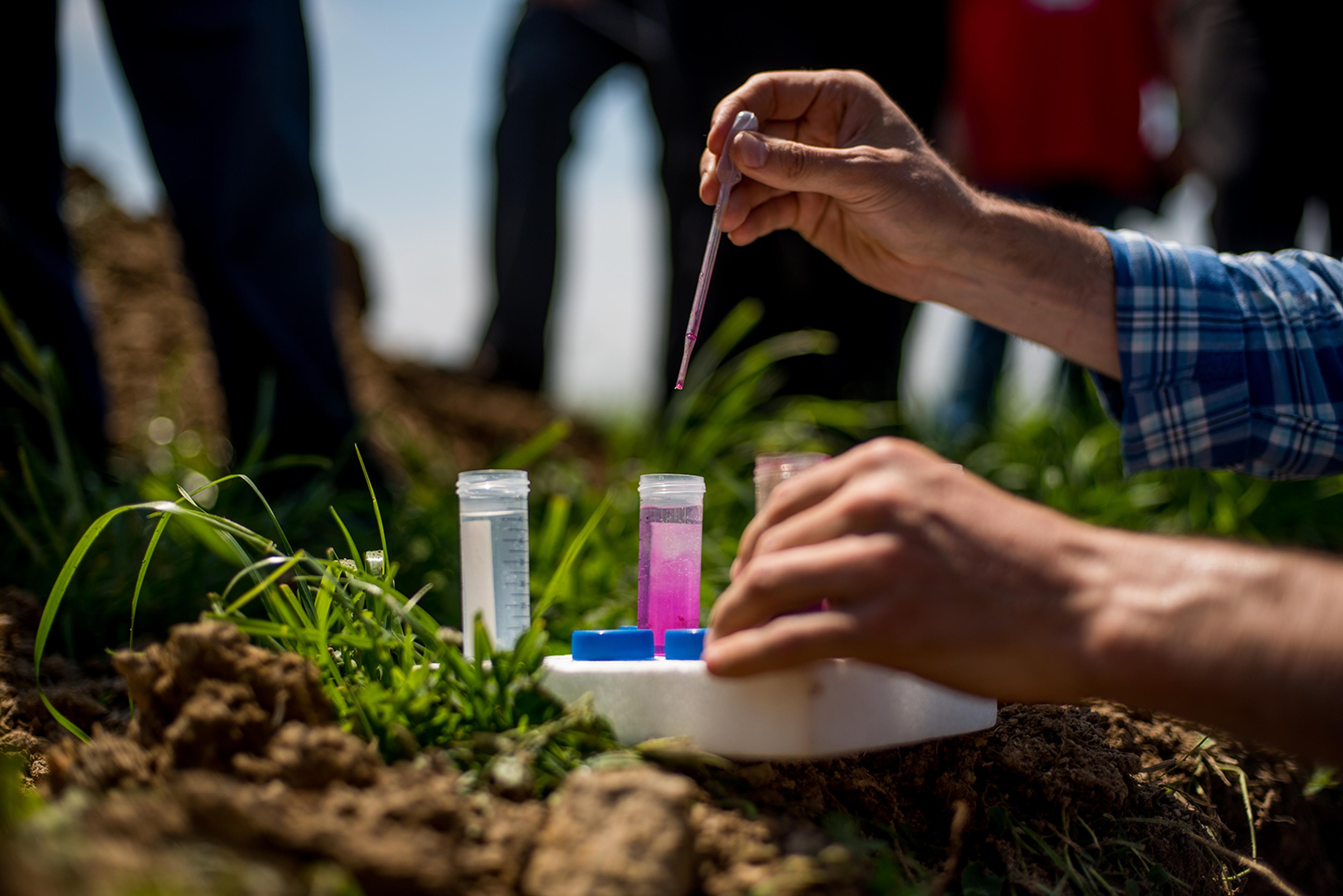 Test tubes turn bright pink during a soil testing demonstration at an educational workshop for Organic Valley farmers in Ohio.