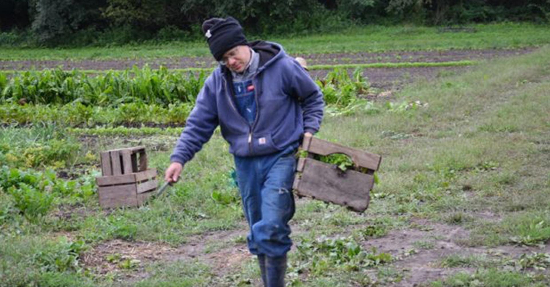 Henry harvests for the Evanston Farmers Market a few months before going on a year’s sabbatical.