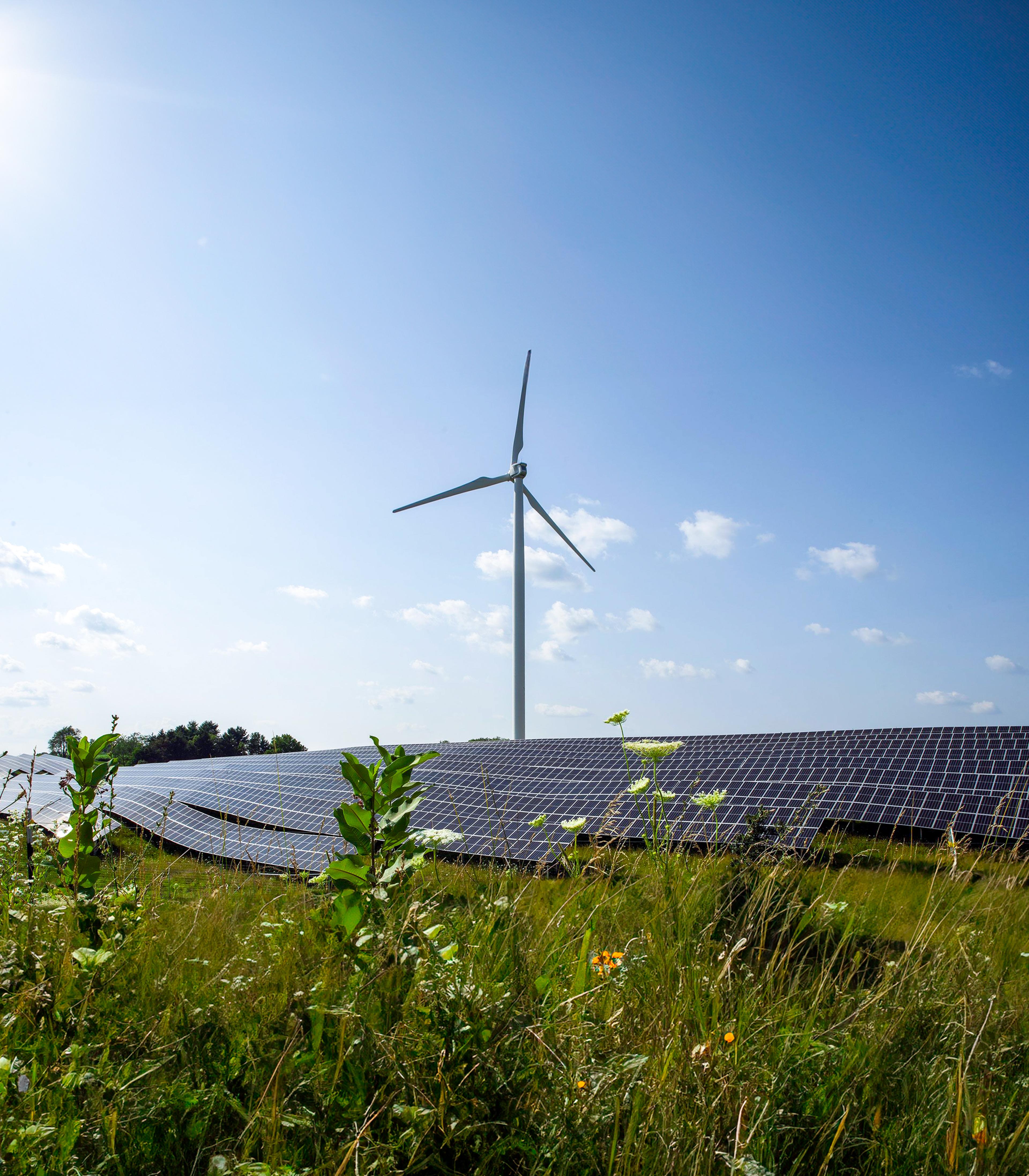 Solar panels and wind turbine in a field.
