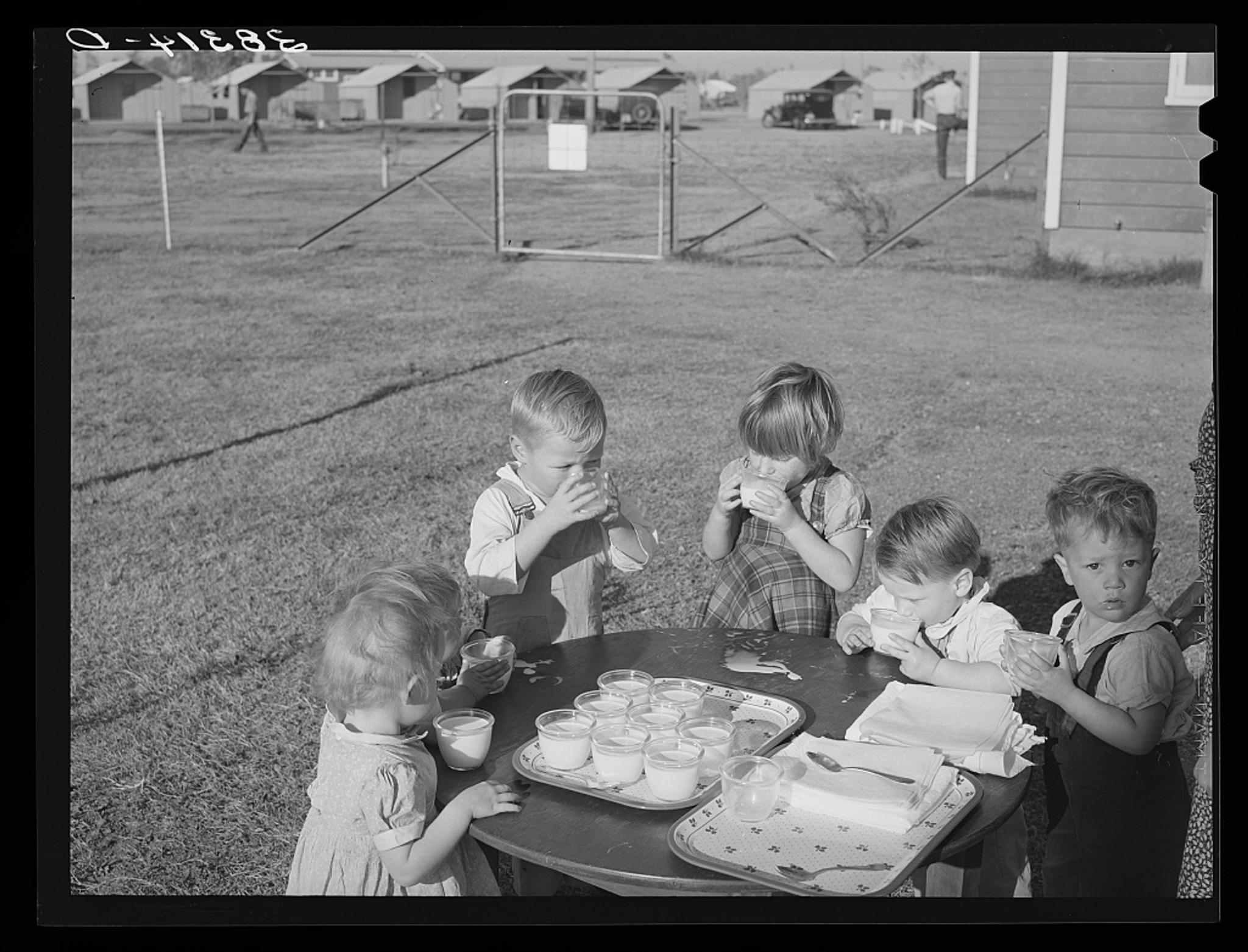 A black and white image of young children drinking milk from a tray on a table outdoors.