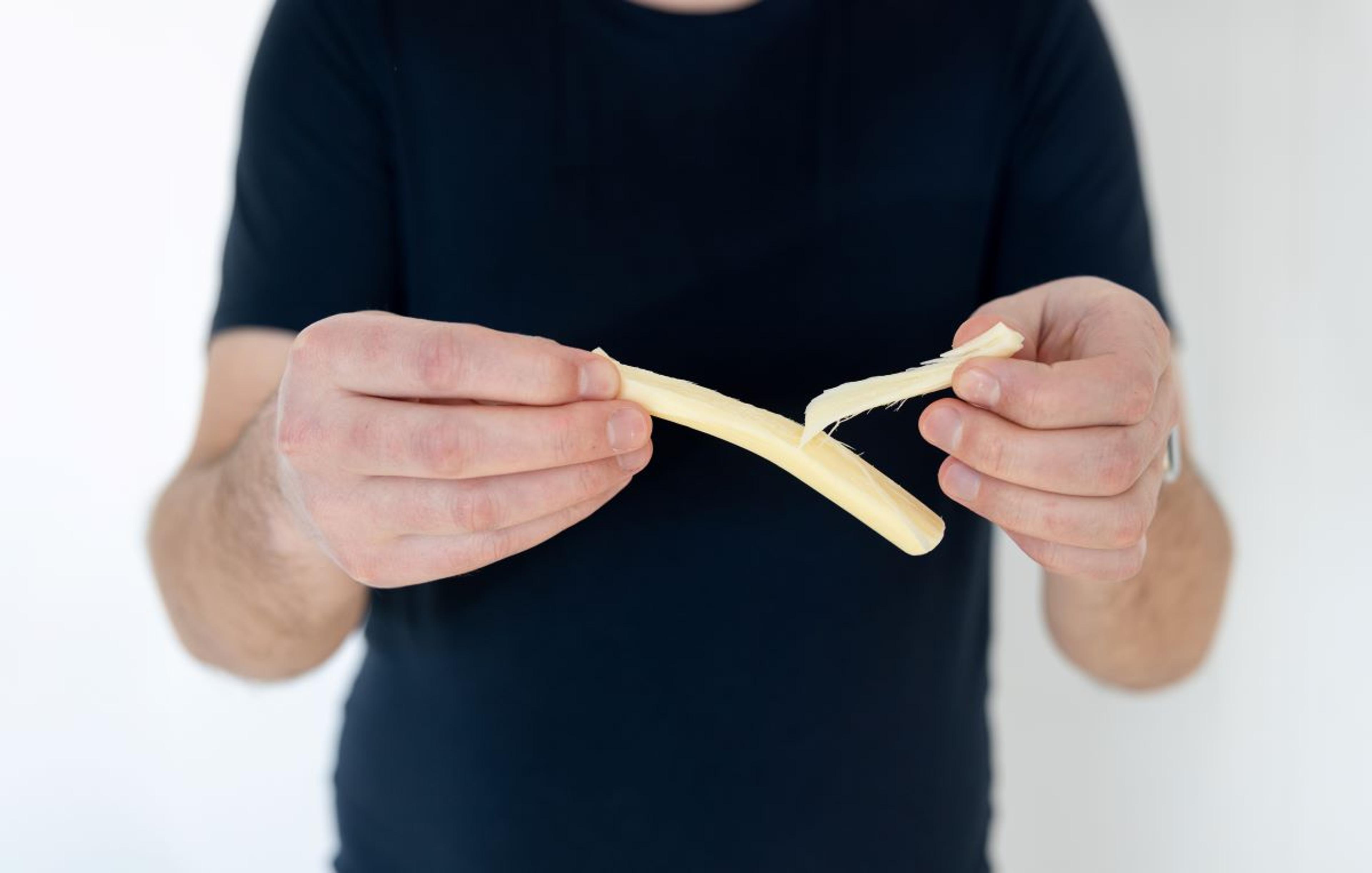  A man pulls apart a piece of organic string cheese.