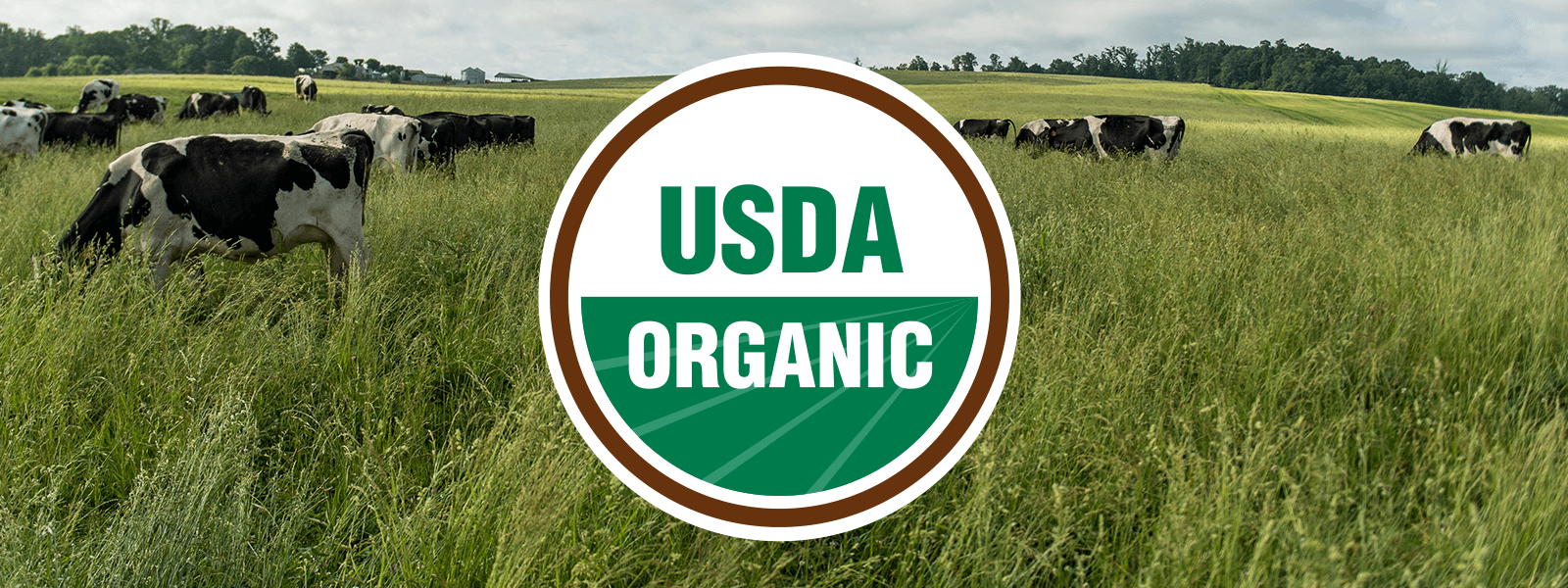 What It Means to Be the First and Only Certified Organic National