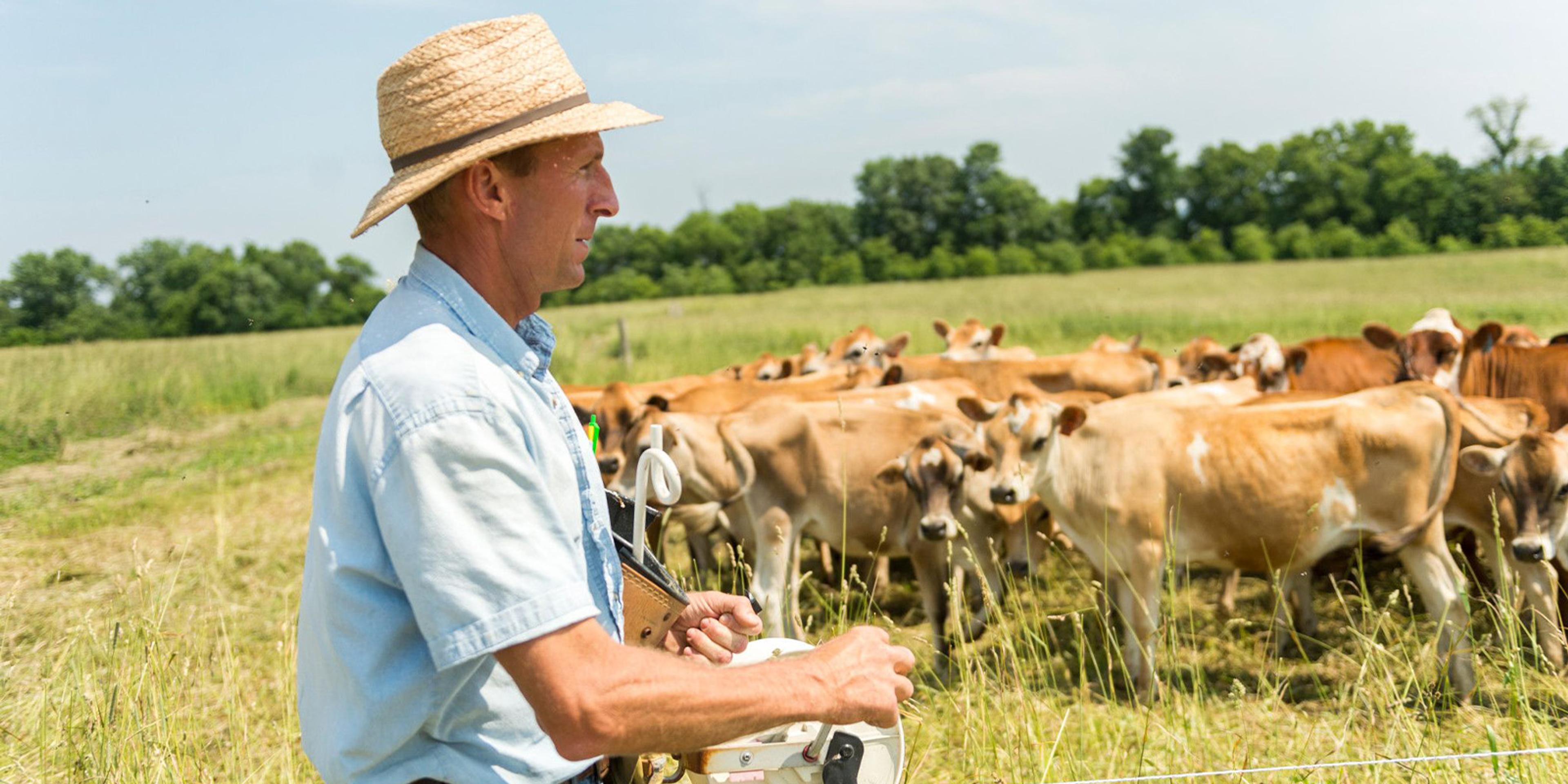 Farmer Ron Holter strings fence at his organic farm in Maryland as dairy cows watch.