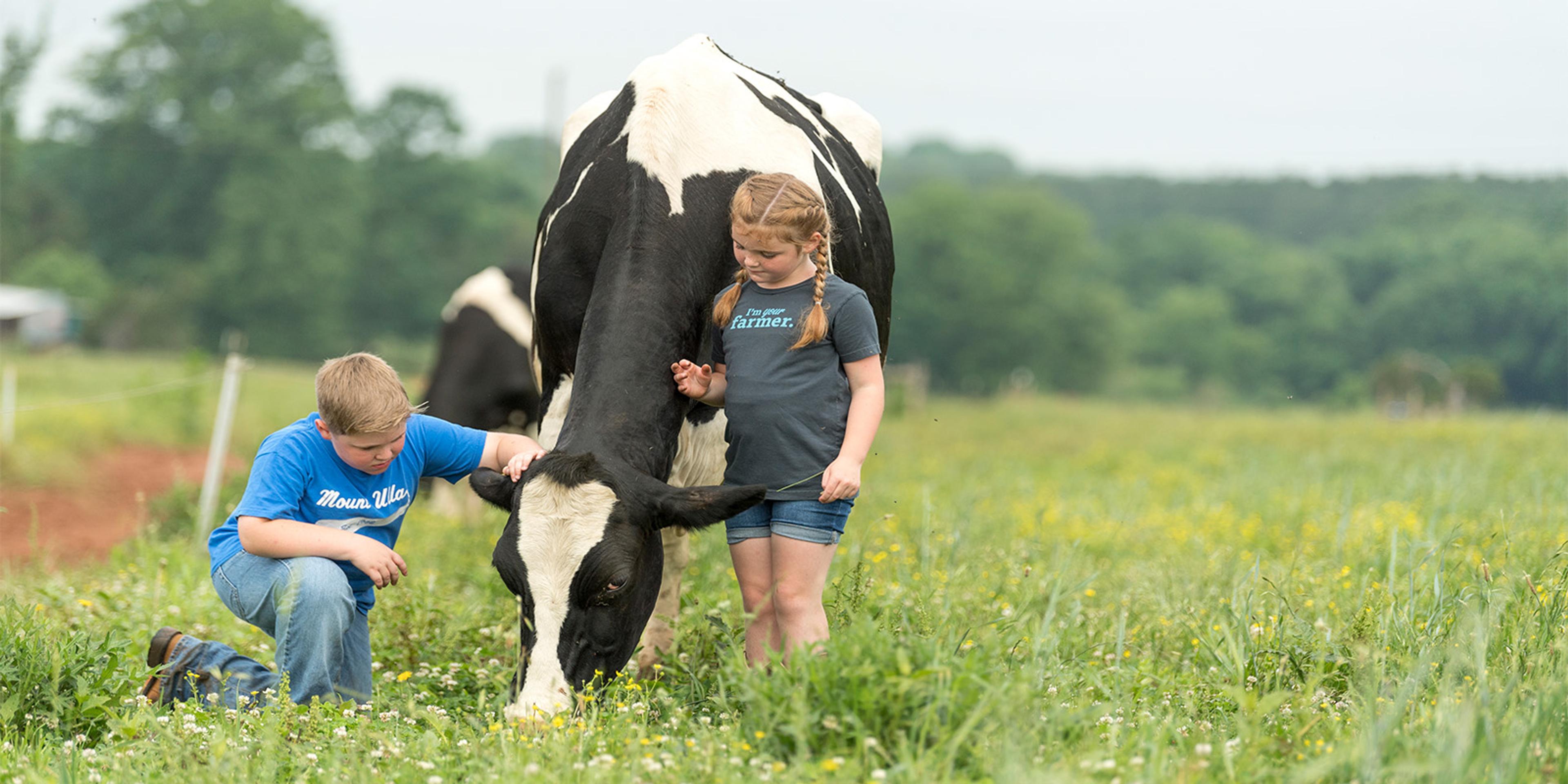 Children on the Hoffner farm in North Carolina pet a dairy cow on pasture.