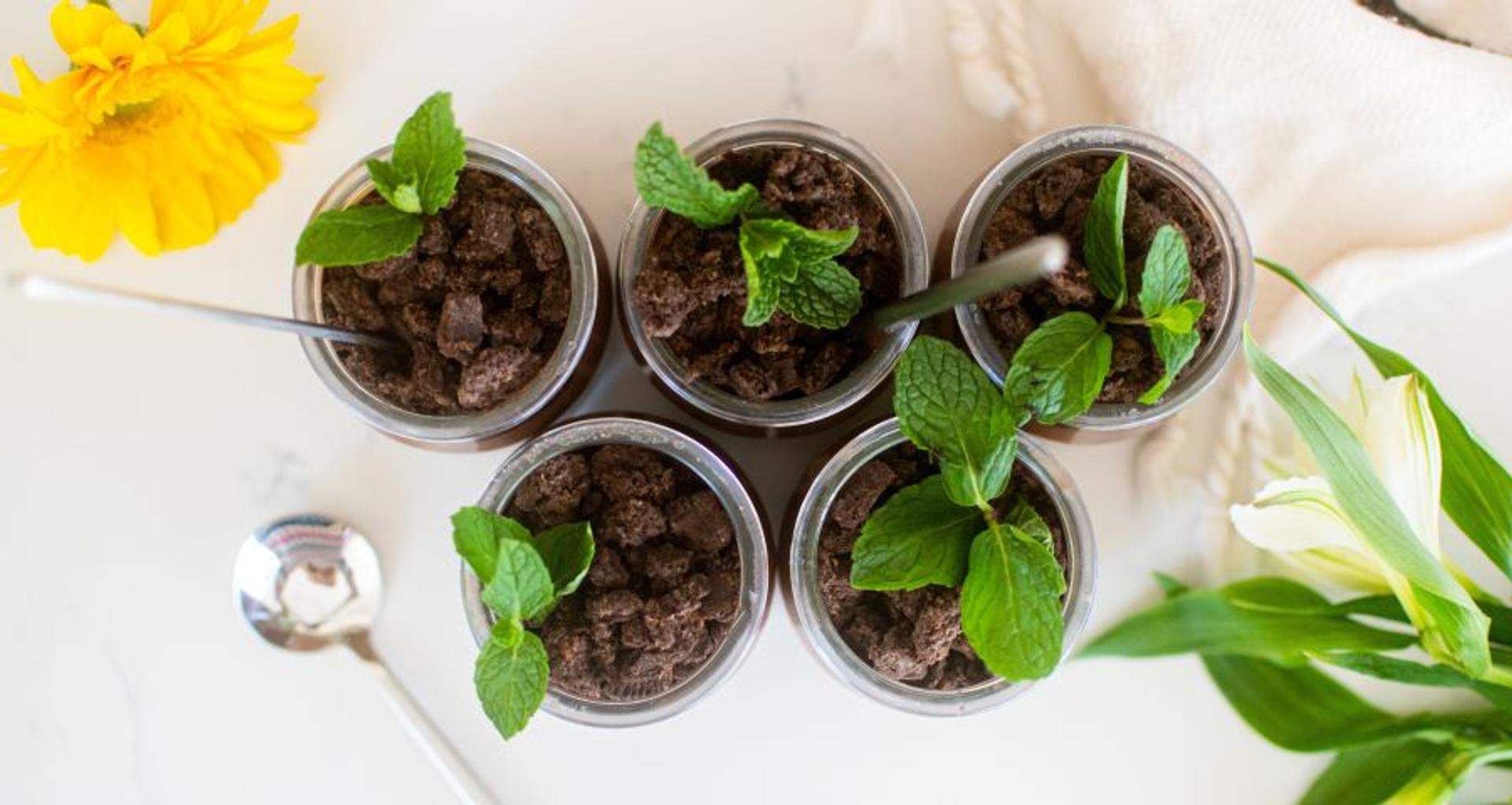 Five servings of mud pie with a flower next to them