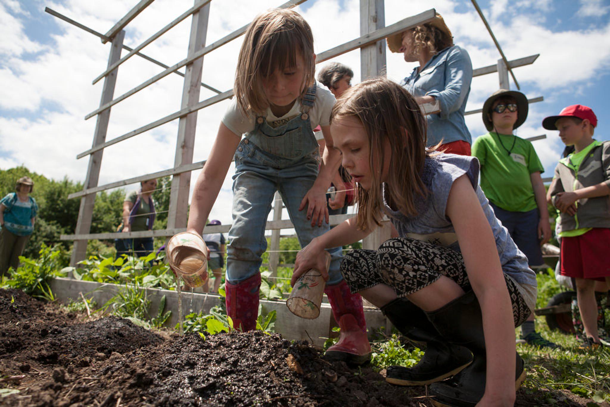 Young kids gets their hands dirty in their school garden.