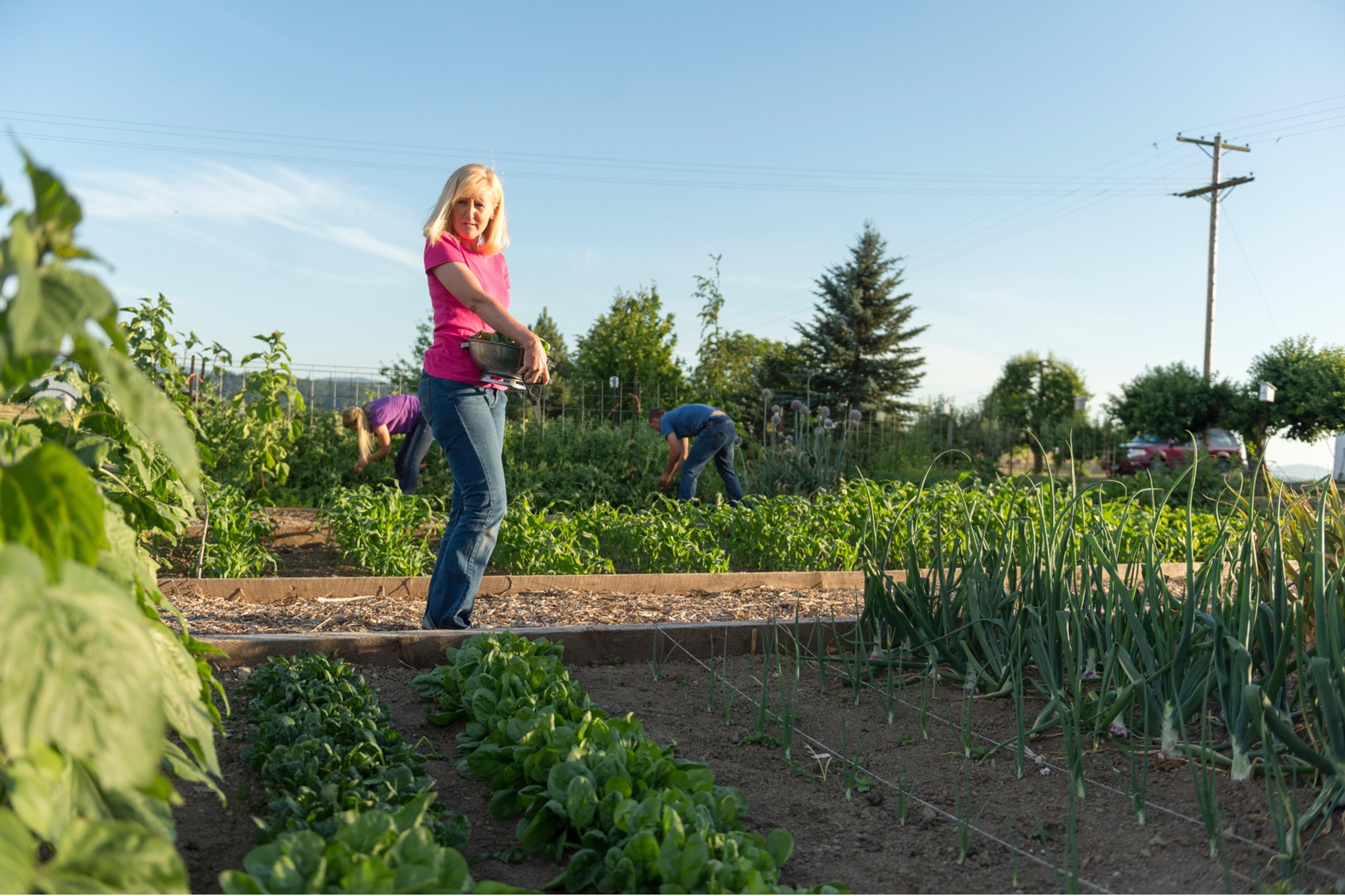 Juli Bansen overlooks her bountiful farm garden of spinach, onions, and more while her children weed in the background.