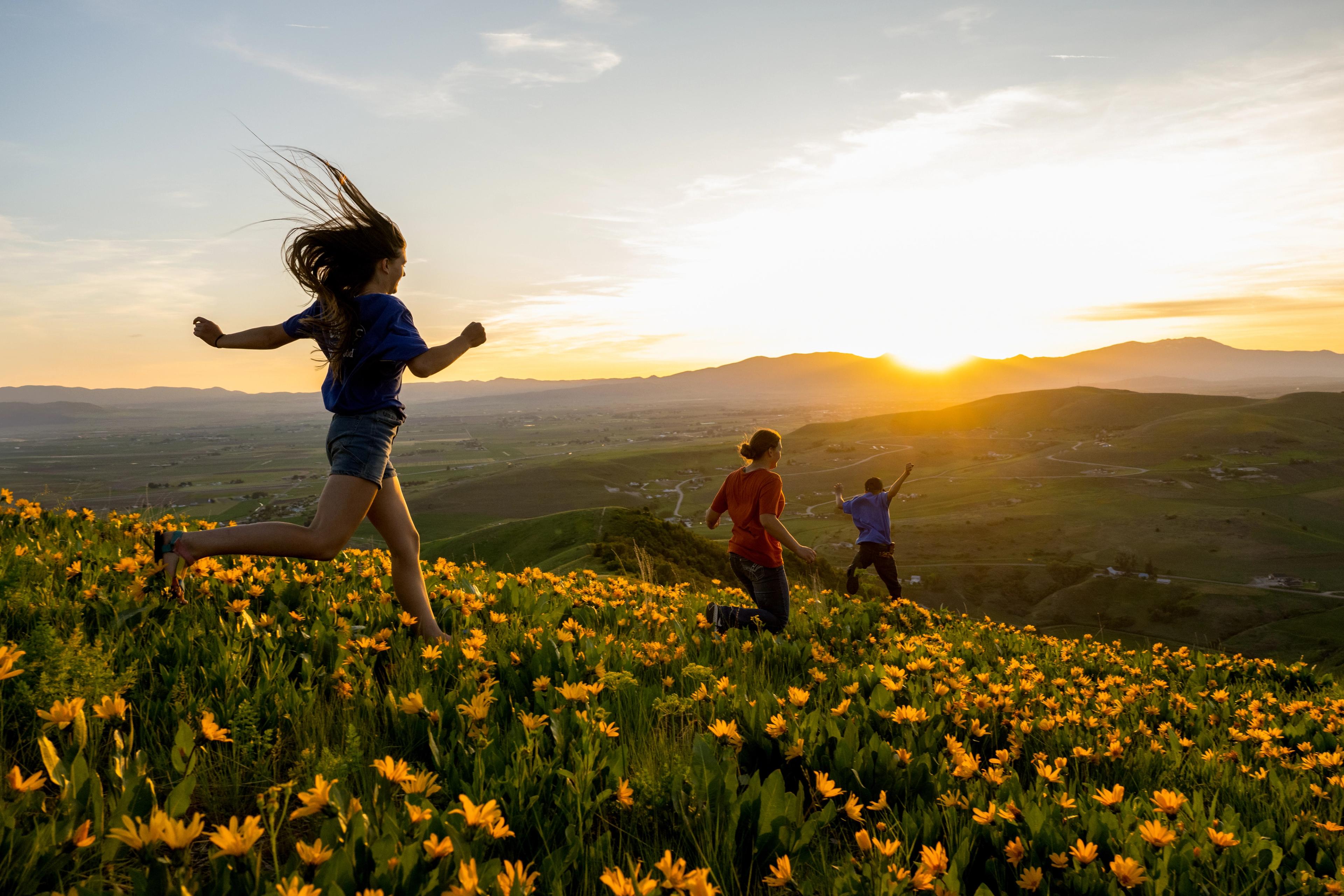 Knapp farmers running through a flower filled pasture 
