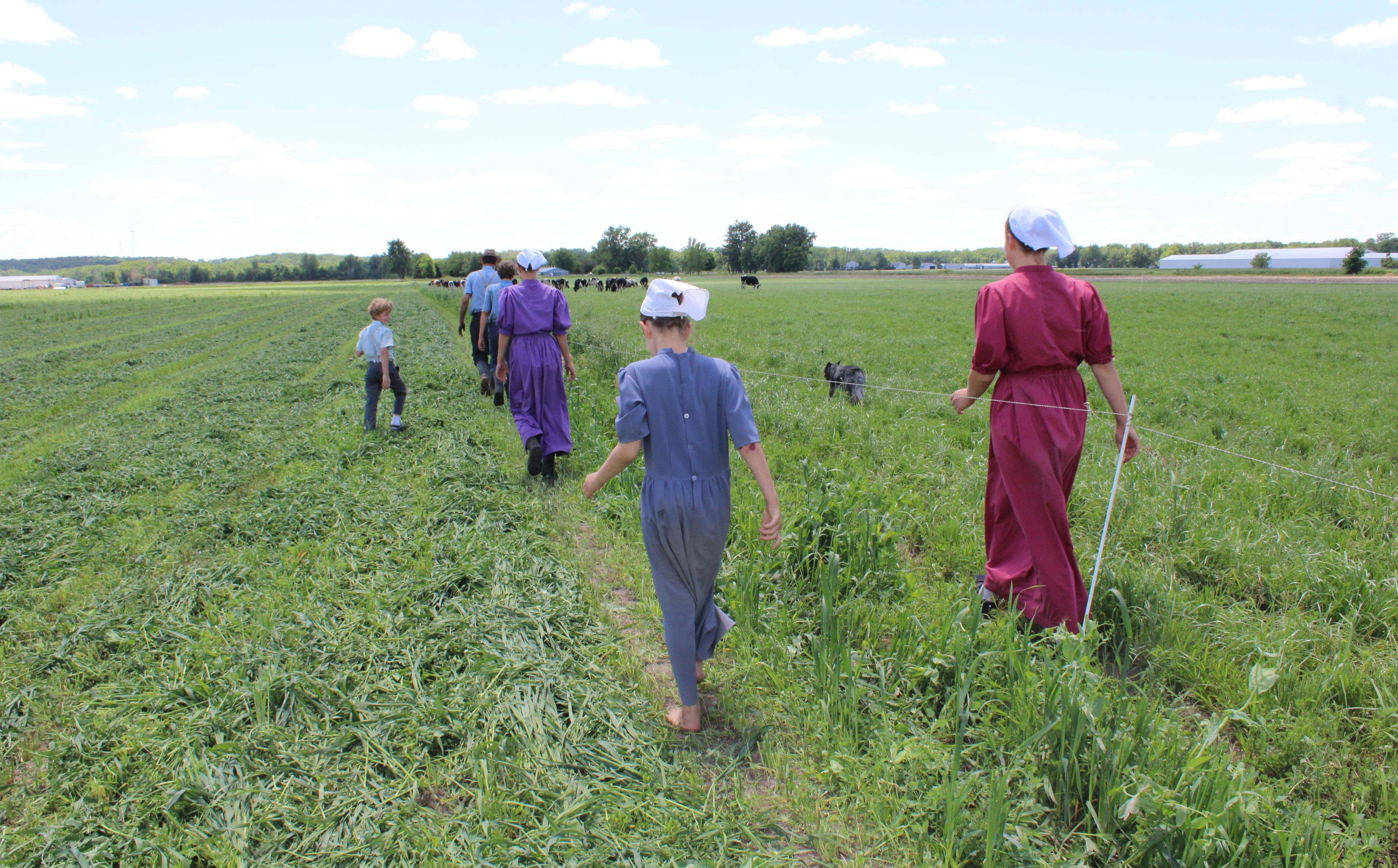 Miller family members walk across a green field on their Iowa farm.